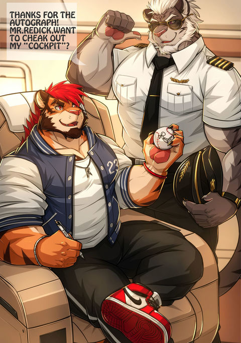 レディックのプライベートジェット