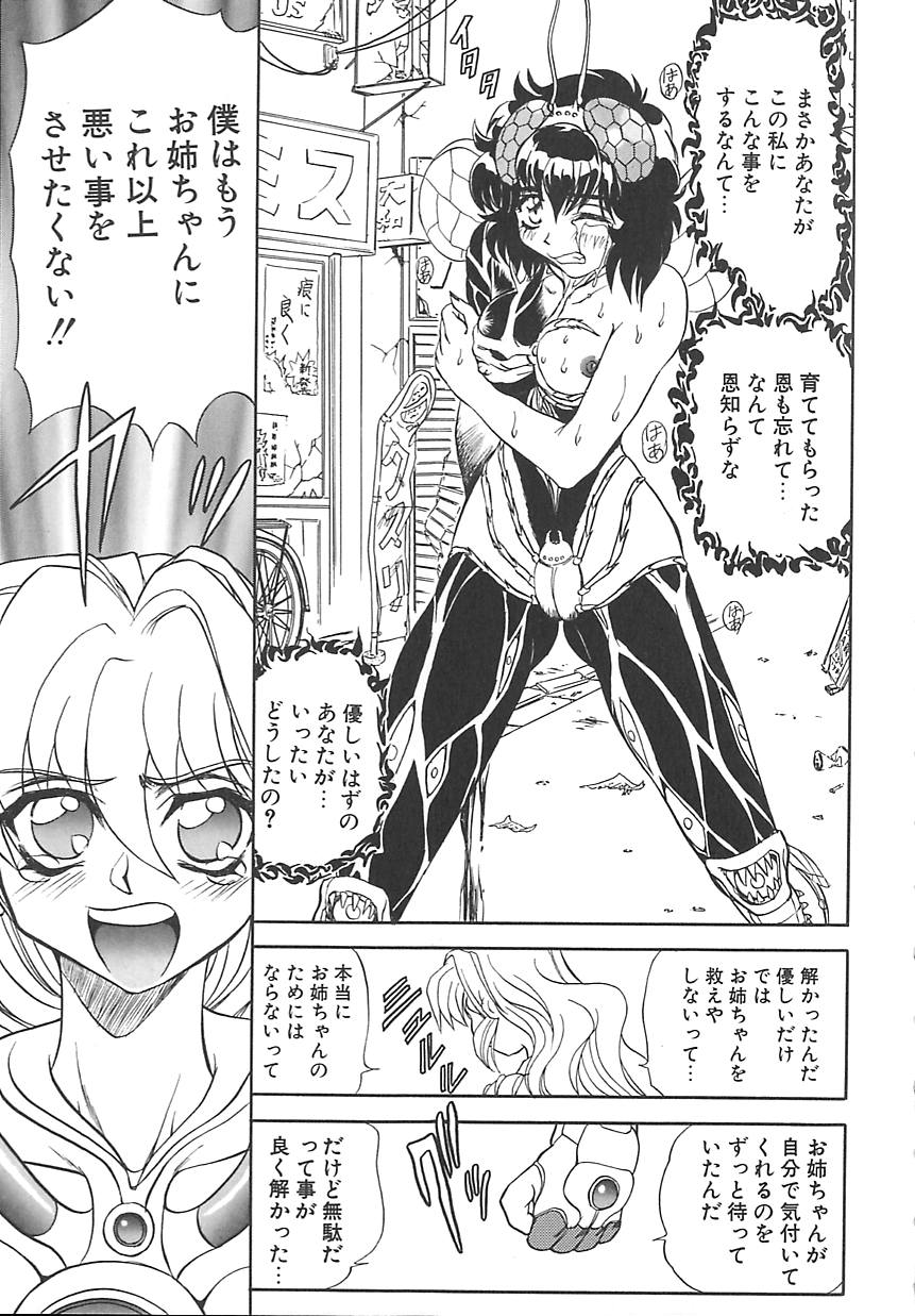 [MARO] シャレーダー <サード>