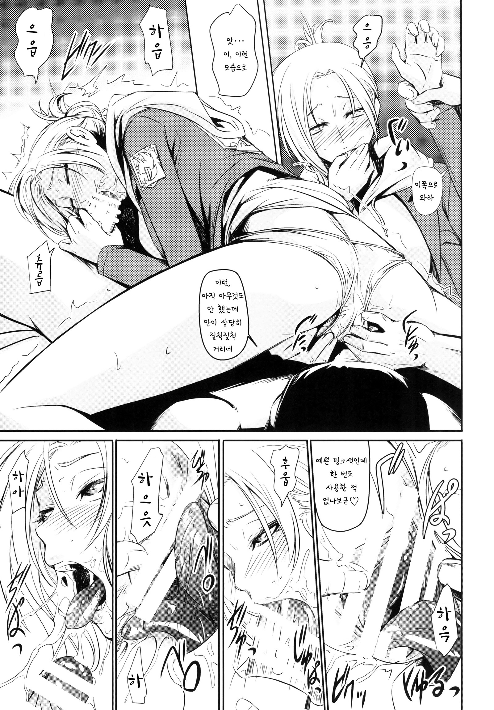 ヘキナイチョウサ| 성안조사
