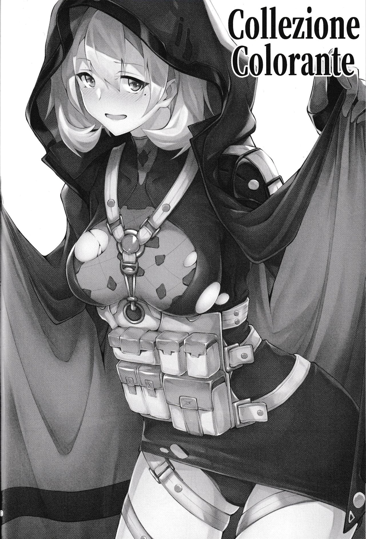 (C97) [ふぇると工房 (Flugel)] Collezione Colorante (少女前線)
