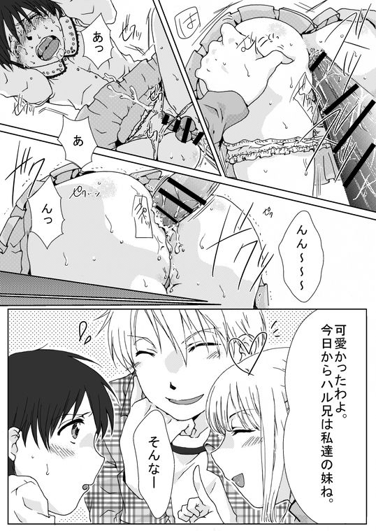 [恥辱庵 (中理柴)] ハル兄ちゃんのちょっと異常な日常