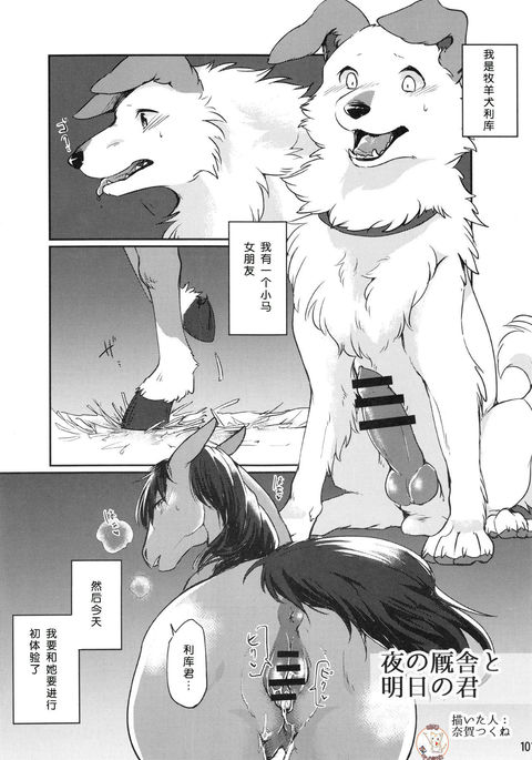 夜の厩舎と明日の君 夜の厩舎と明日の君
