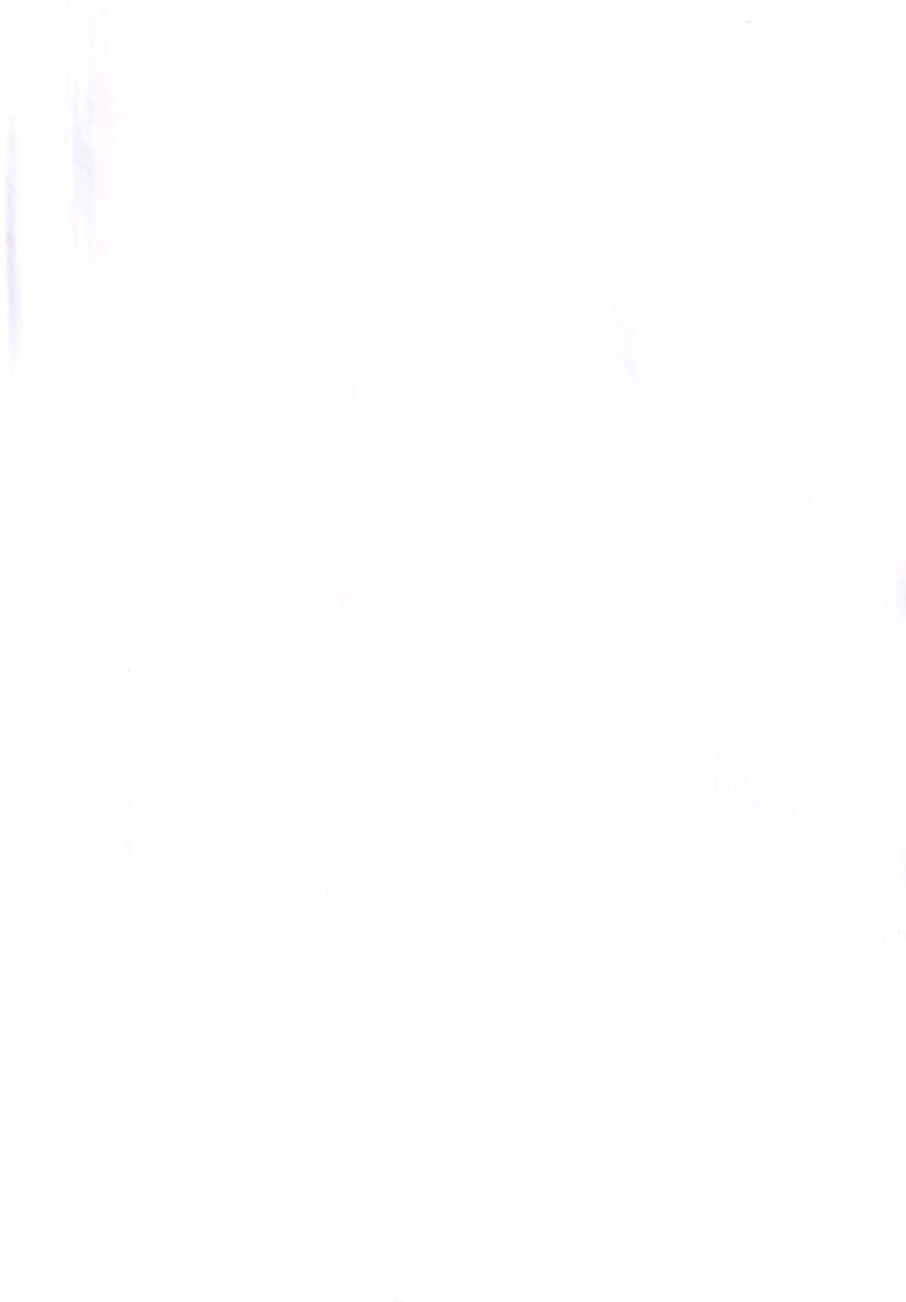 (都産祭2013) [やどかに大回転 (河本ゆつき)] 変態さん調教計画 (変態王子と笑わない猫。)