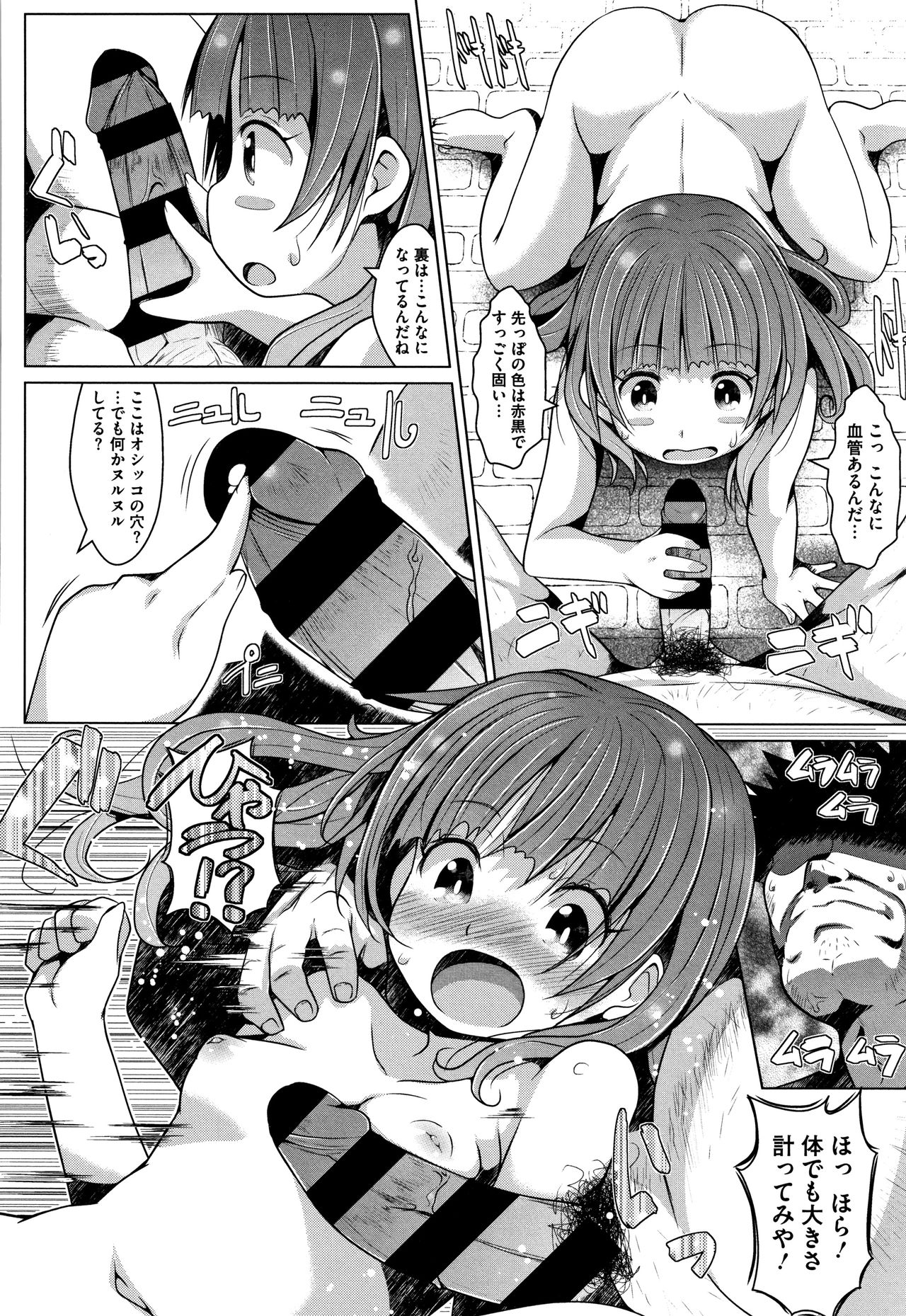 [NAZ] シュクルベリー・トルテ + 4Pリーフレット