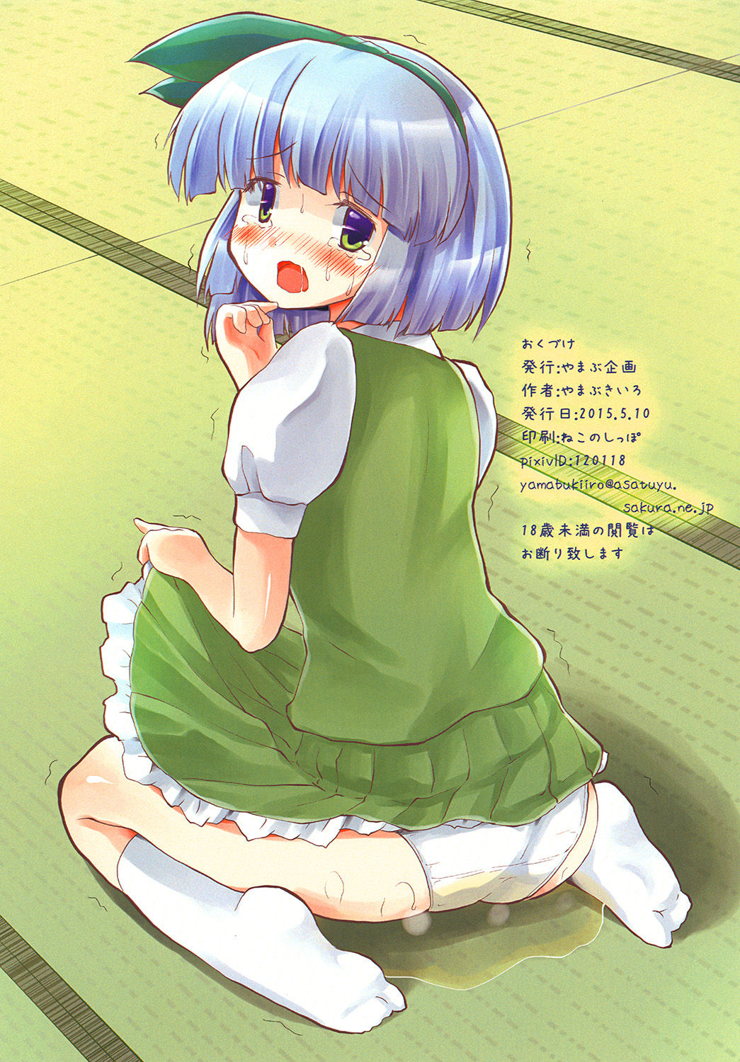 [やまぶ企画 (やまぶきいろ)] おもらしスキマスイッチ (東方Project) [DL版]
