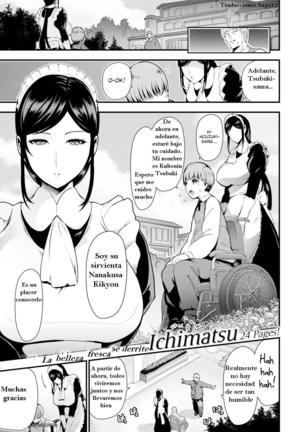 サービングマスター|シルビエンドアルマエストロ