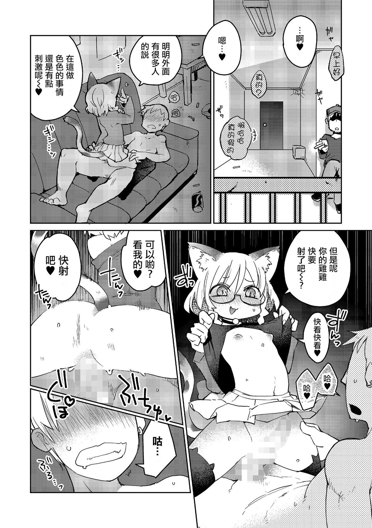 ミックスキャット