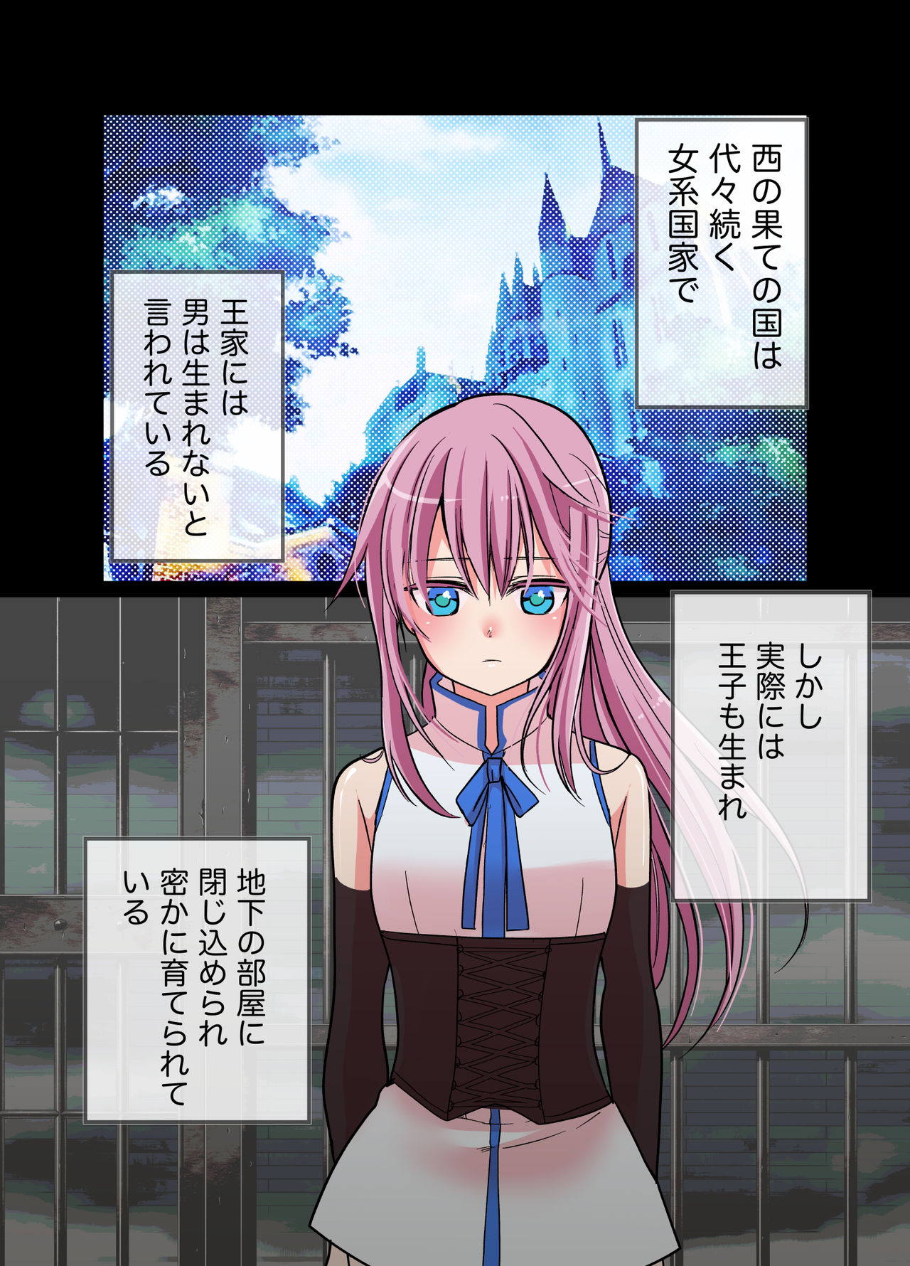[なんとかレーベル (本魔ナイーブ)] 幽閉王子メス化苗床計画