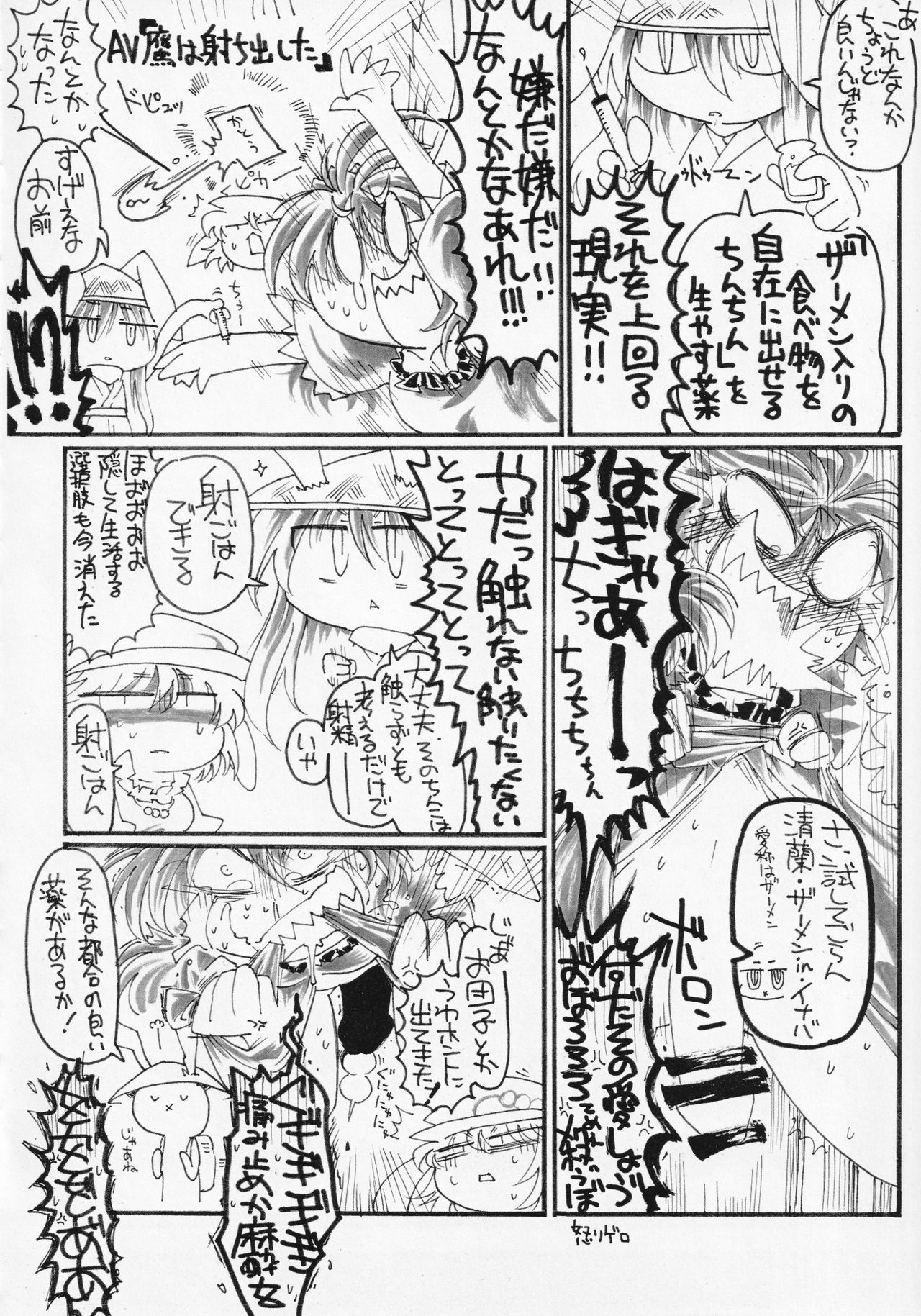 (例大祭13) [蓮川堂 (よろず)] 東方食ザー合同 (東方Project)