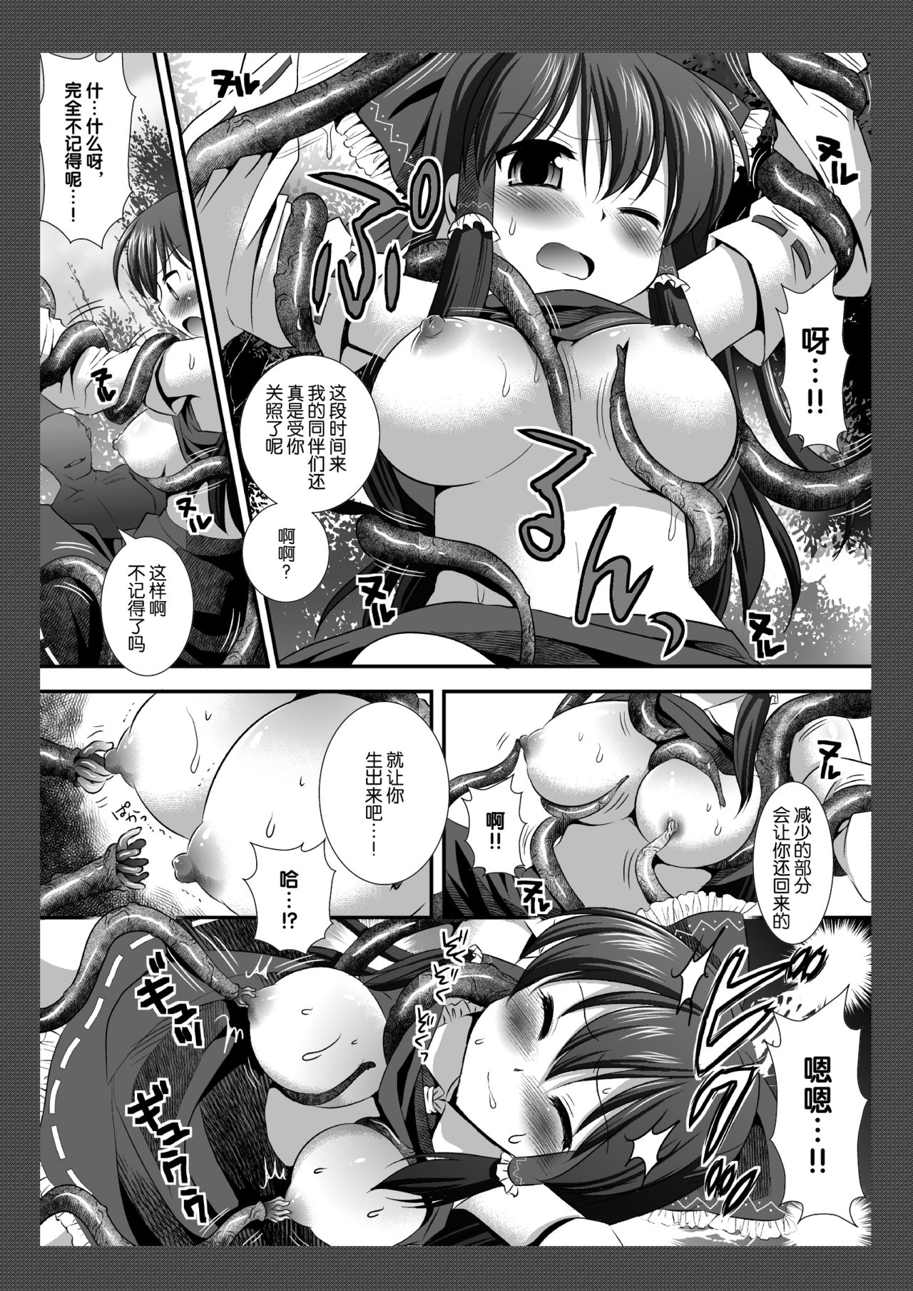 (C79) [ナギヤマスギ (那岐山)] 東方陵辱8 (東方Project) [中国翻訳]