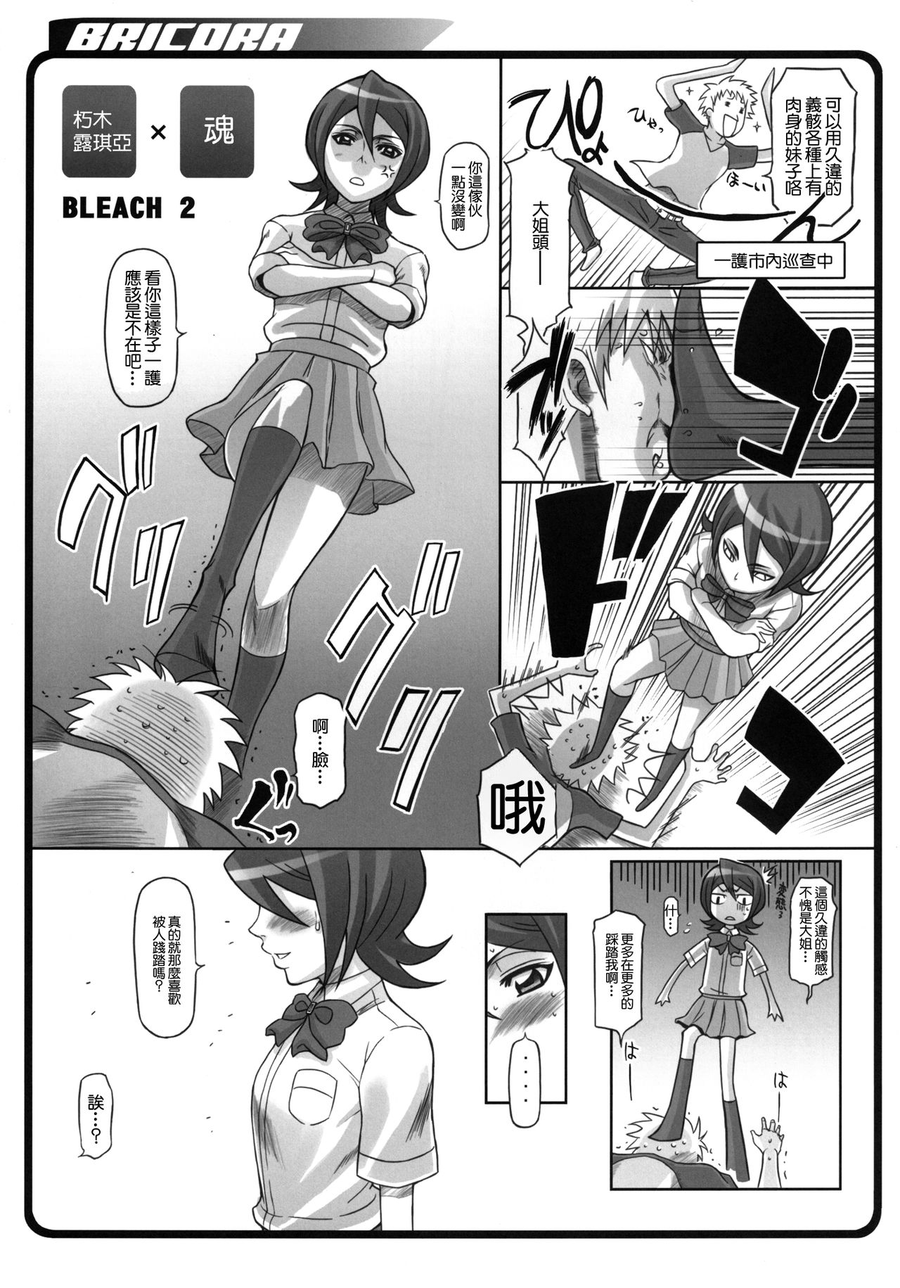 [ディオゲネスクラブ (灰川ヘムレン)] BRICOLA (BRICOLA総集編) (ブリーチ) [中国翻訳] [DL版]