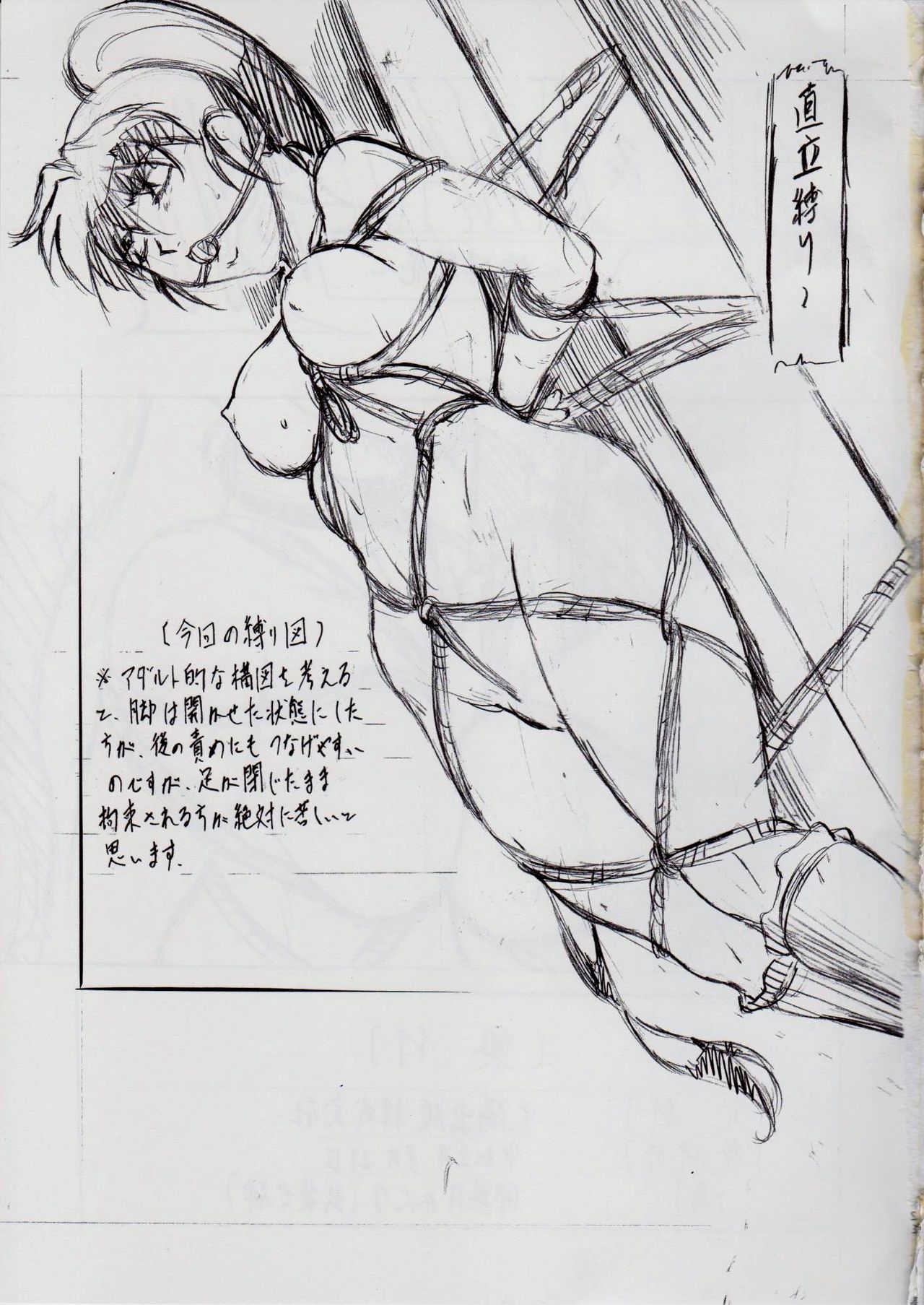 [武装女神 (神無月かんな)] A＆M DSIII～鬼面の者～ (淫獣聖戦)