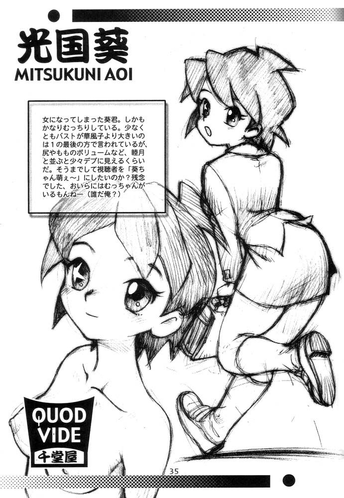 (C56) [千堂屋 (後藤寿庵)] QUOD VIDE (十兵衛ちゃん、宇宙海賊ミトの大冒険)