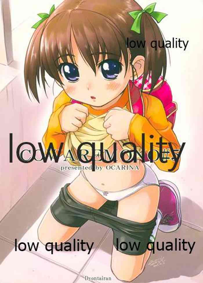 (C69) [おかりな (ぢょんたいらん)] COWAREMONO#5