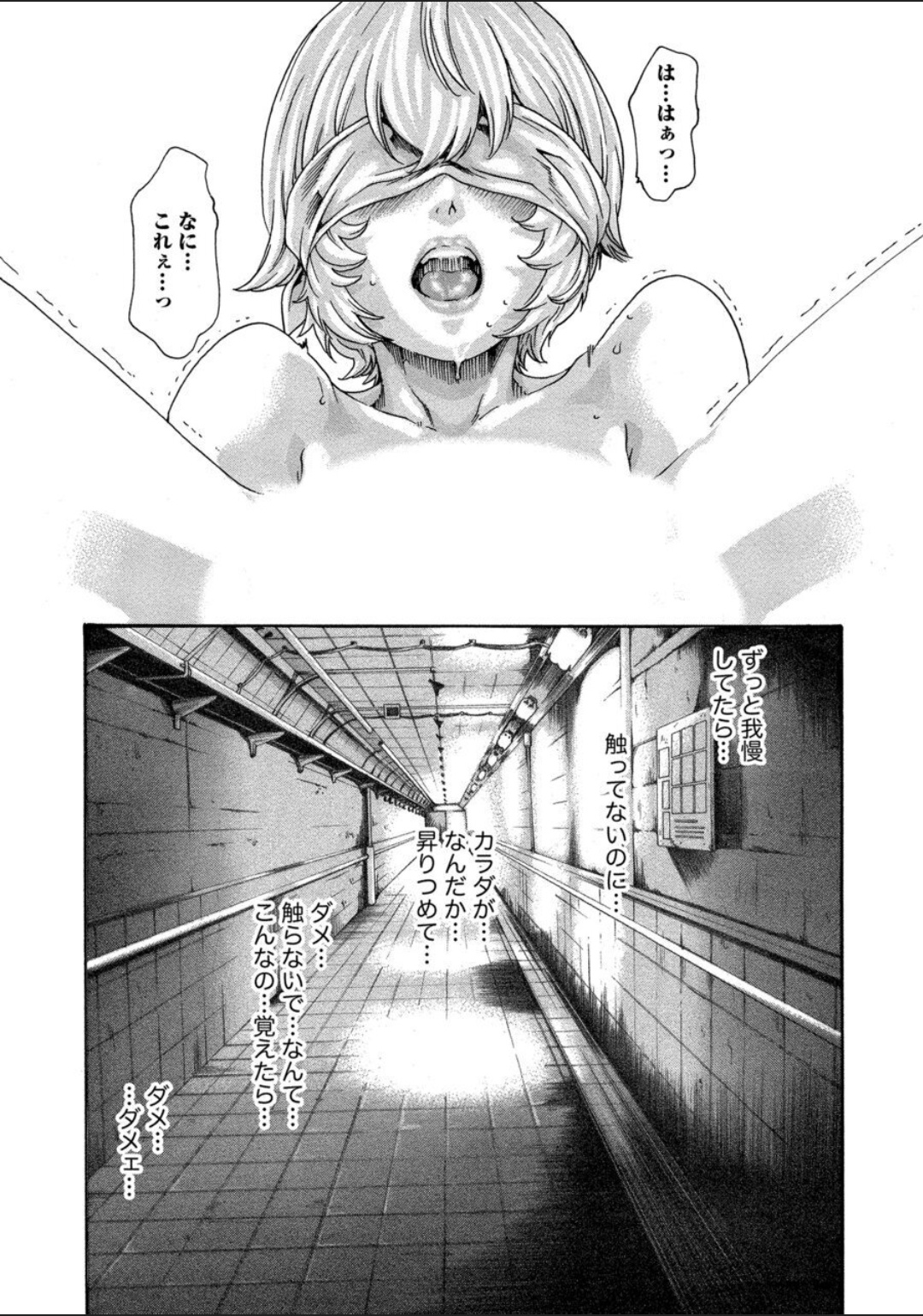 [春輝] 寄性獣医・鈴音 12