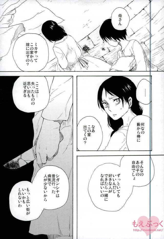 (C88) [iron (かなえ)] 問題のない子供たち (進撃の巨人)