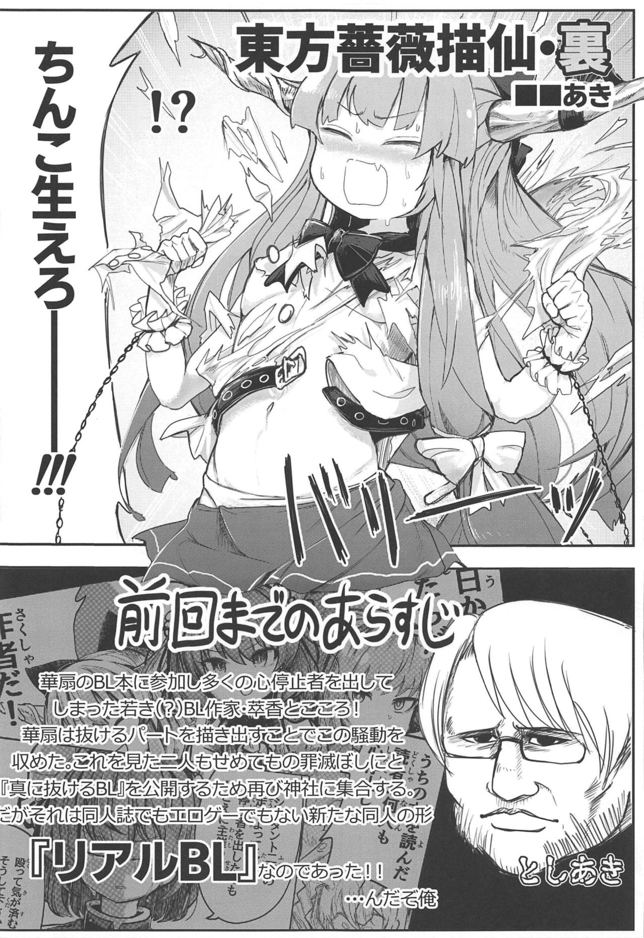 (C95) [グラコロちゃん準備会 (よろず)] 東方裏表としあき成年合同誌8 としあき怒助平 (東方Project)