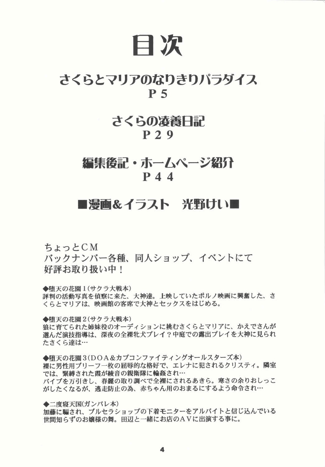 (Cレヴォ33) [HEAVEN'S UNIT (光野けい)] 堕天の花園 4 (サクラ大戦)