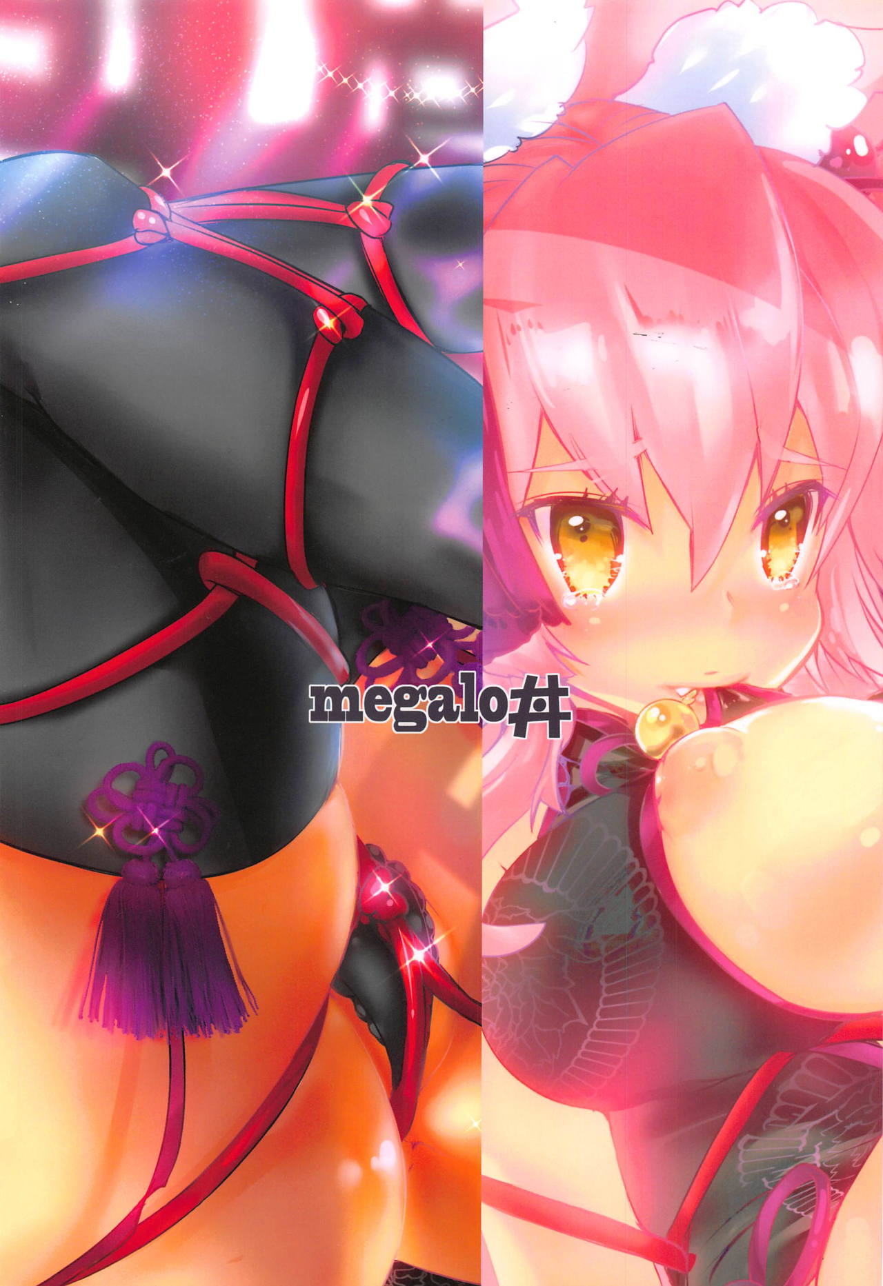 (C95) [megalo丼 (めざしごはん)] ごーもんする? (Fate/Grand Order)