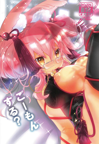 (C95) [megalo丼 (めざしごはん)] ごーもんする? (Fate/Grand Order)