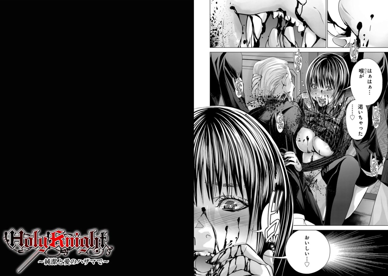 [宮崎摩耶] Holy Knight ～純潔と愛のハザマで～ 9巻