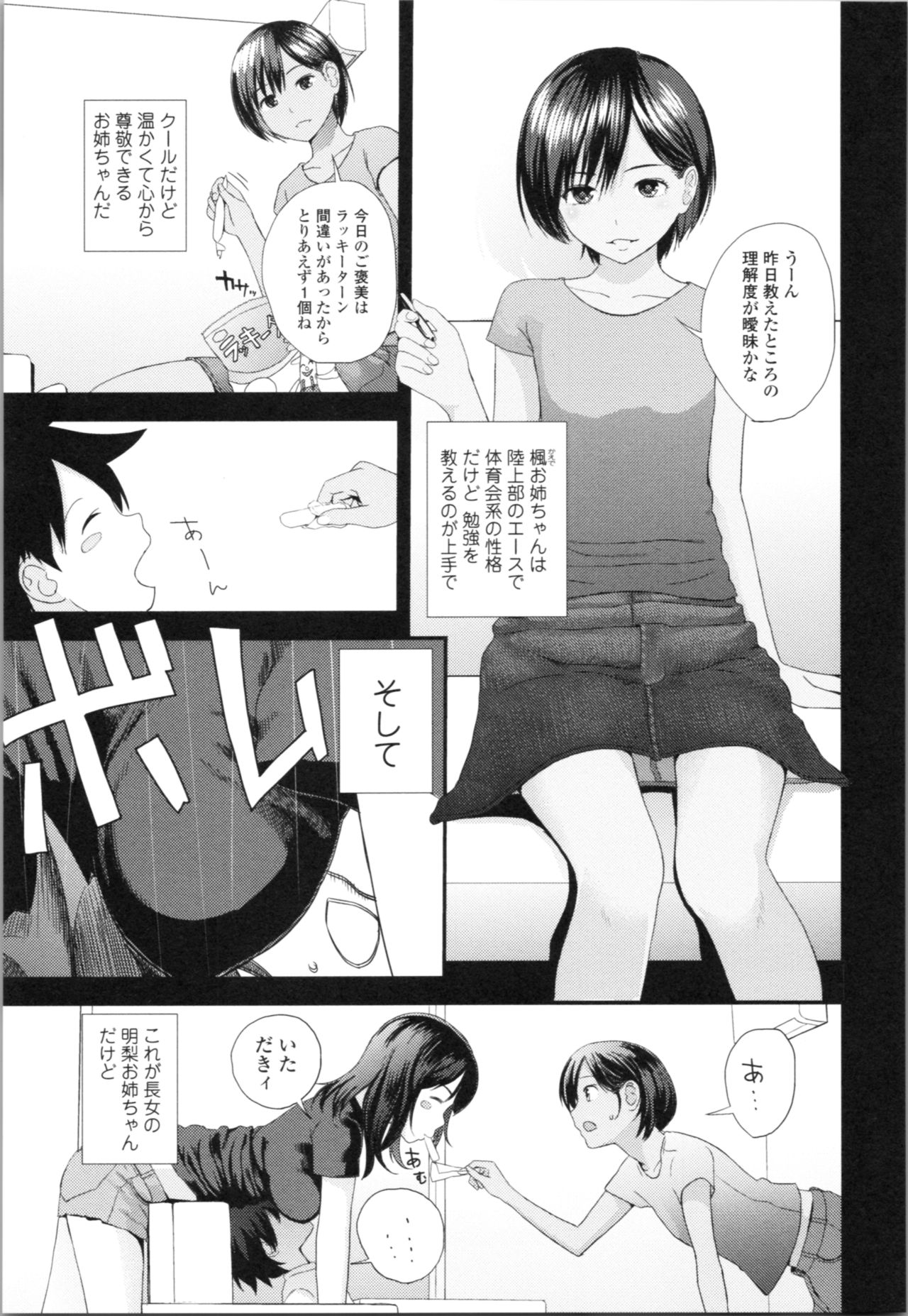 [吉田鳶牡] お姉ちゃんとの秘めごと～挿入れるトコわかる?～