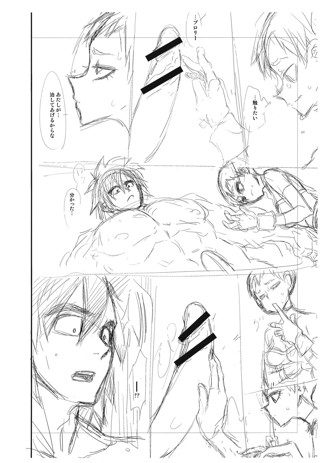 (サンクリ2019 Spring) [DA HOOTCH (新堂エル)] ブロリー本 準備号 (ドラゴンボール超)