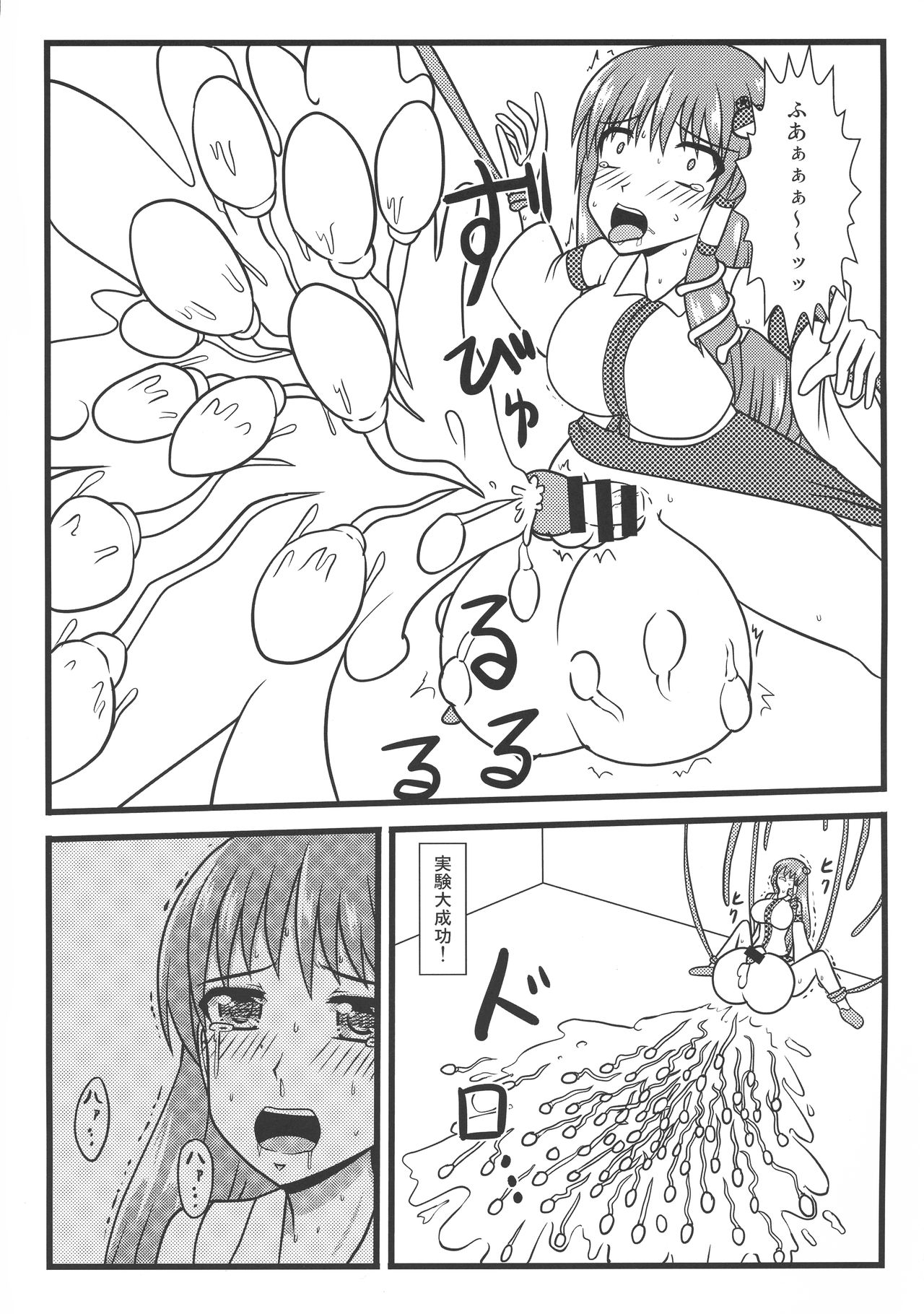 (例大祭16) [HORIC WORKS出版事業部汐留project (よろず)] 東方膨張系総合合同誌「膨女FINAL」(東方Project)