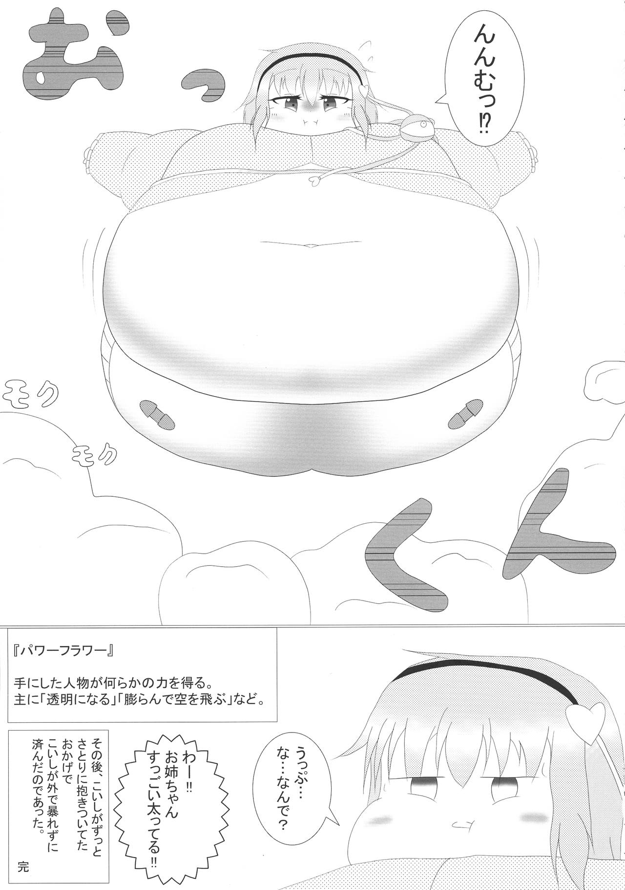 (例大祭16) [HORIC WORKS出版事業部汐留project (よろず)] 東方膨張系総合合同誌「膨女FINAL」(東方Project)