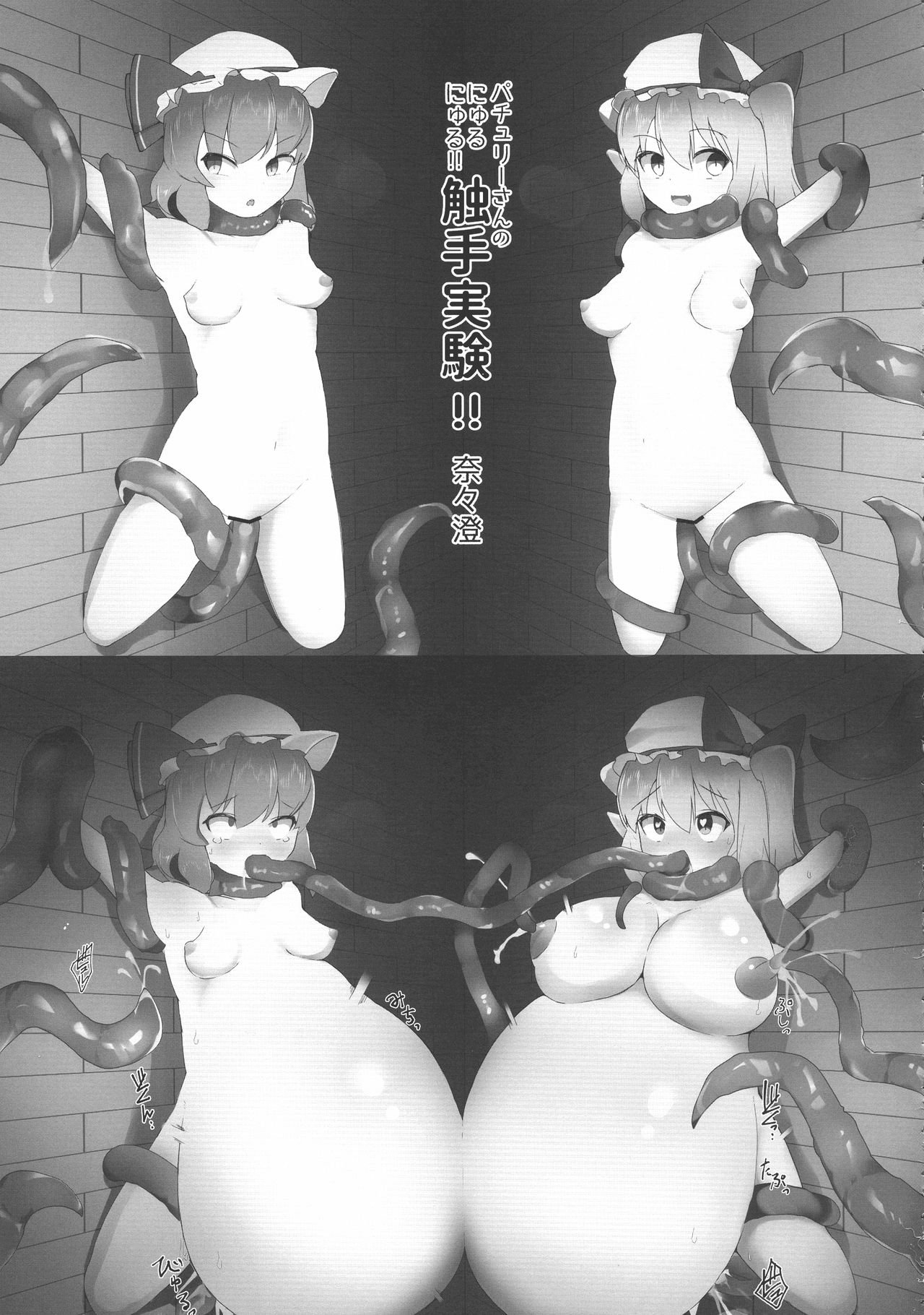 (例大祭16) [HORIC WORKS出版事業部汐留project (よろず)] 東方膨張系総合合同誌「膨女FINAL」(東方Project)