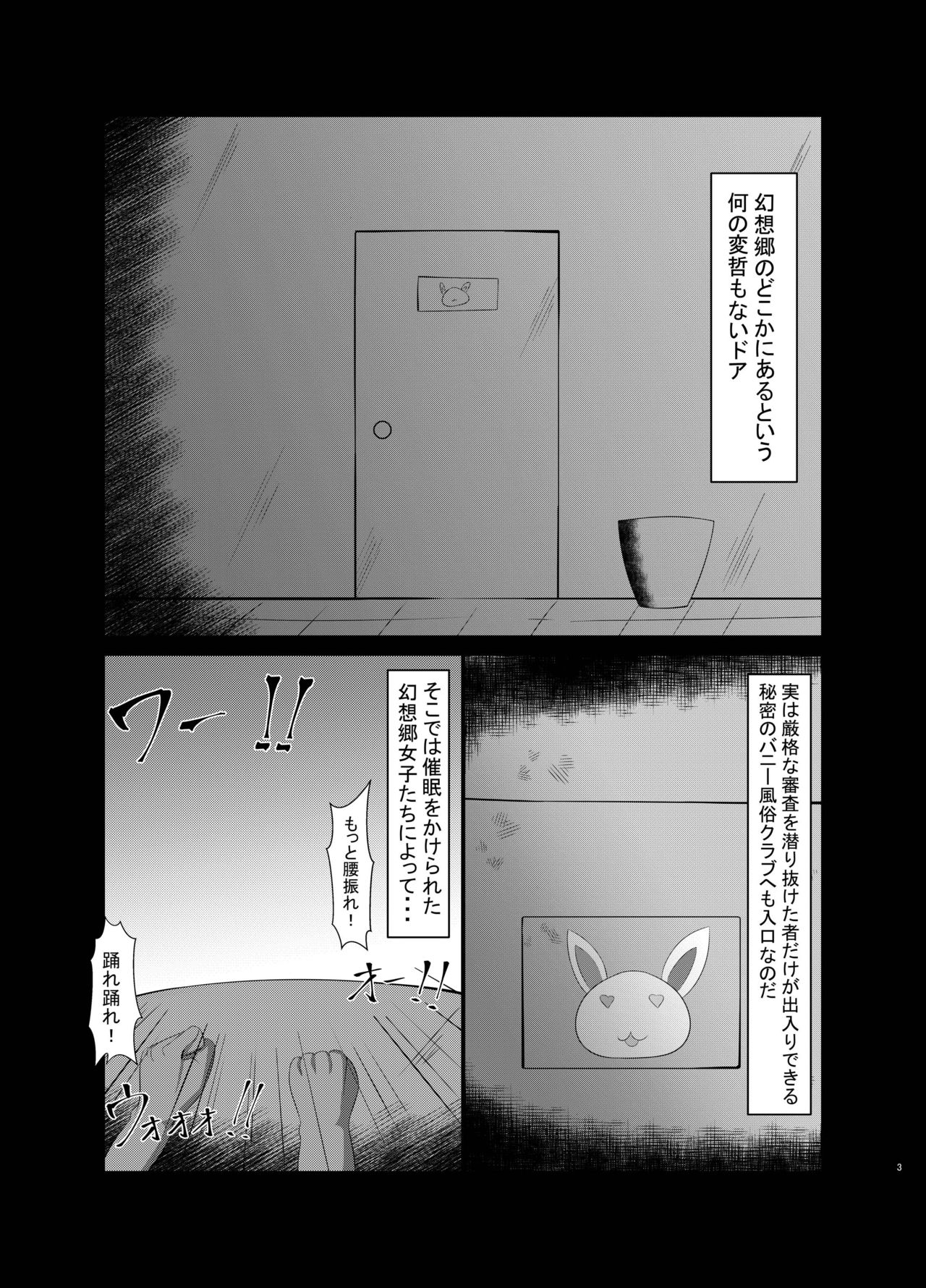 [だんびゅらいと (大井楓)] 催眠遊兎戯 Hypnosis Bunny (東方Project) [DL版]