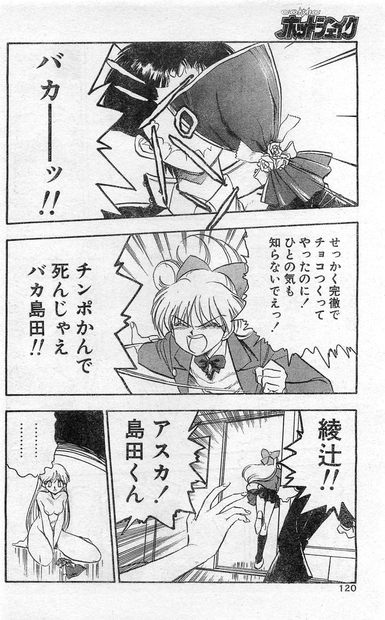 COMIC ホットシェイク キャンディータイム海賊版 1994年2月号増刊
