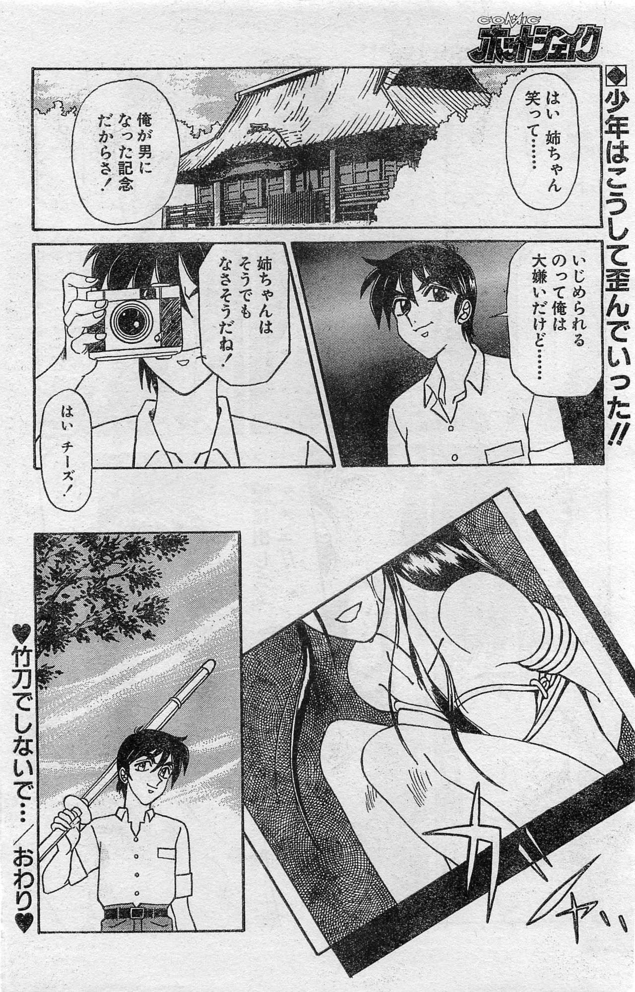 COMIC ホットシェイク キャンディータイム海賊版 1994年2月号増刊