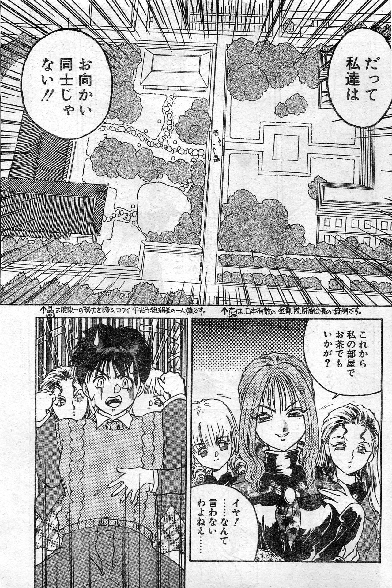 COMIC ホットシェイク キャンディータイム海賊版 1994年2月号増刊