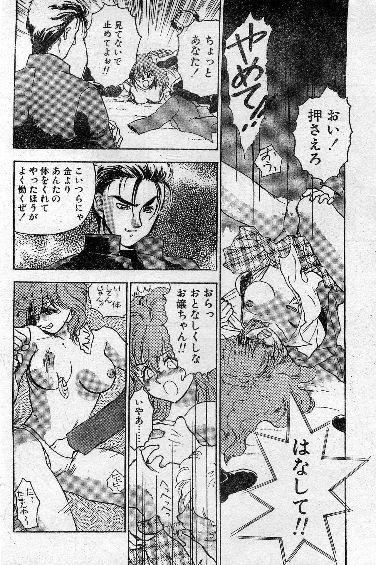 COMIC ホットシェイク キャンディータイム海賊版 1994年2月号増刊