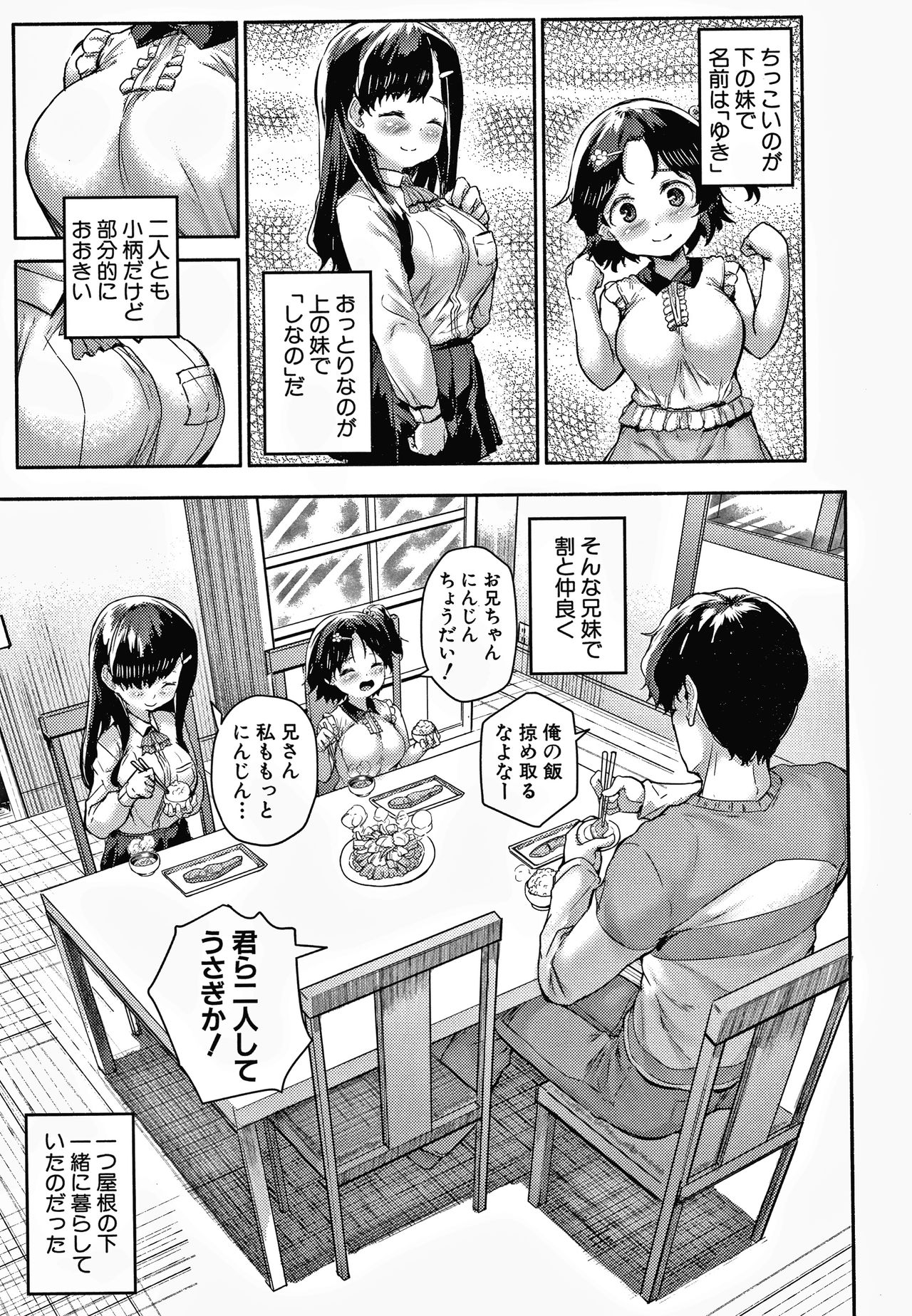 [崎森ダン] みにまむ巨乳少女 + 8P小冊子