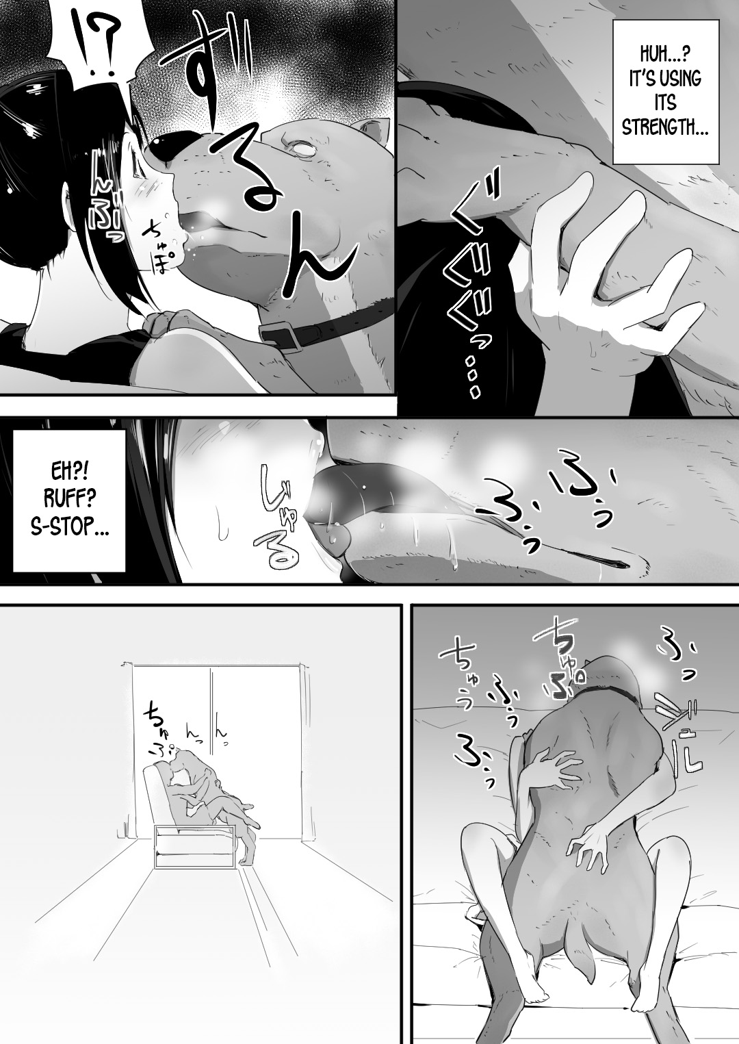 [フレイア] 我が家にペットがやってきた [英訳]