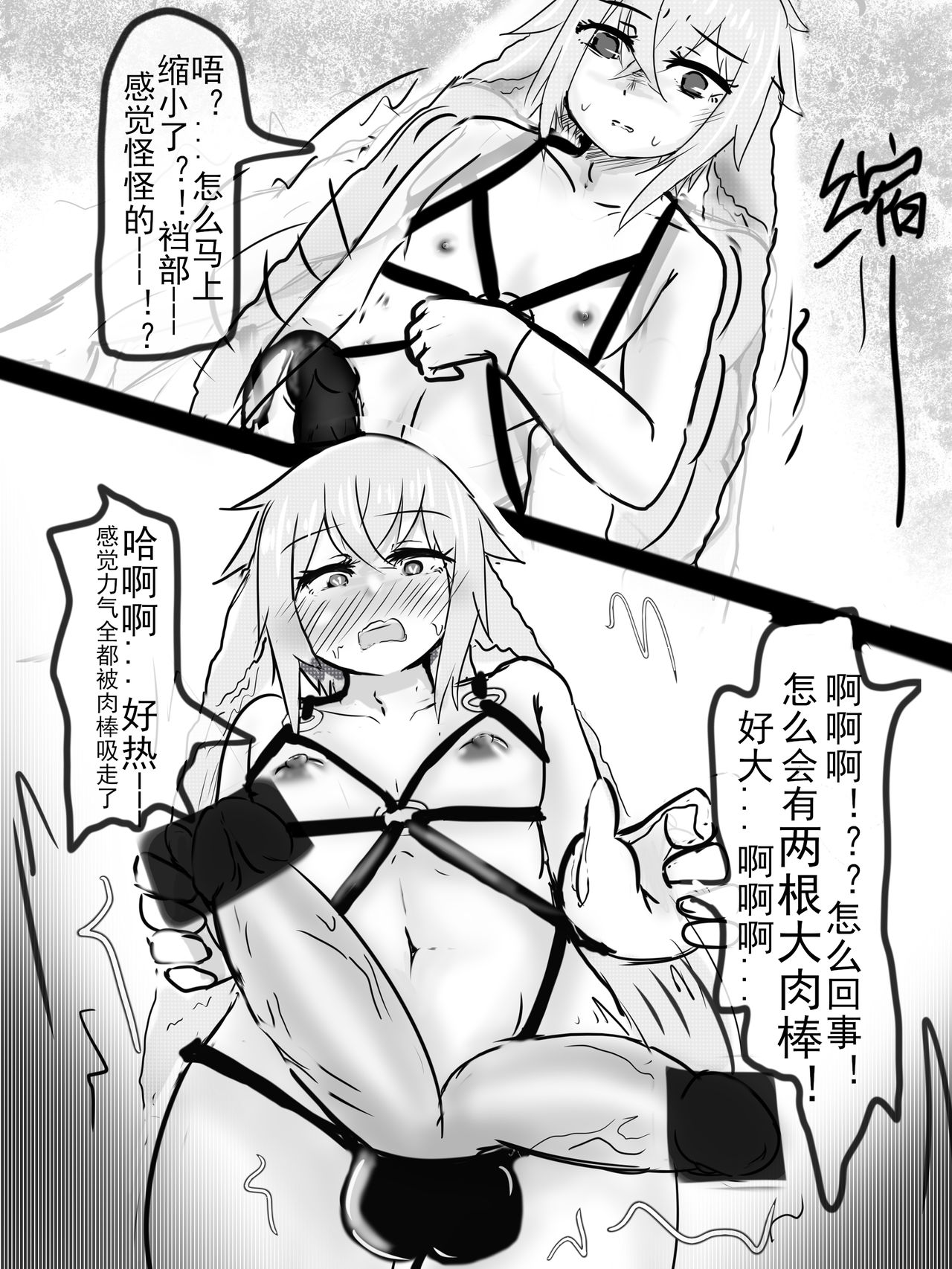 安赛尔的特别服务1+2