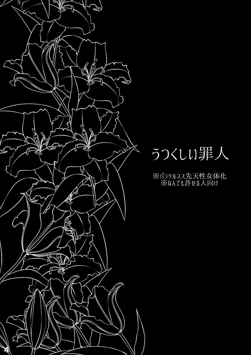 [キーウィット (たまき)] うつくしい罪人 (Fate/Grand Order) [DL版]