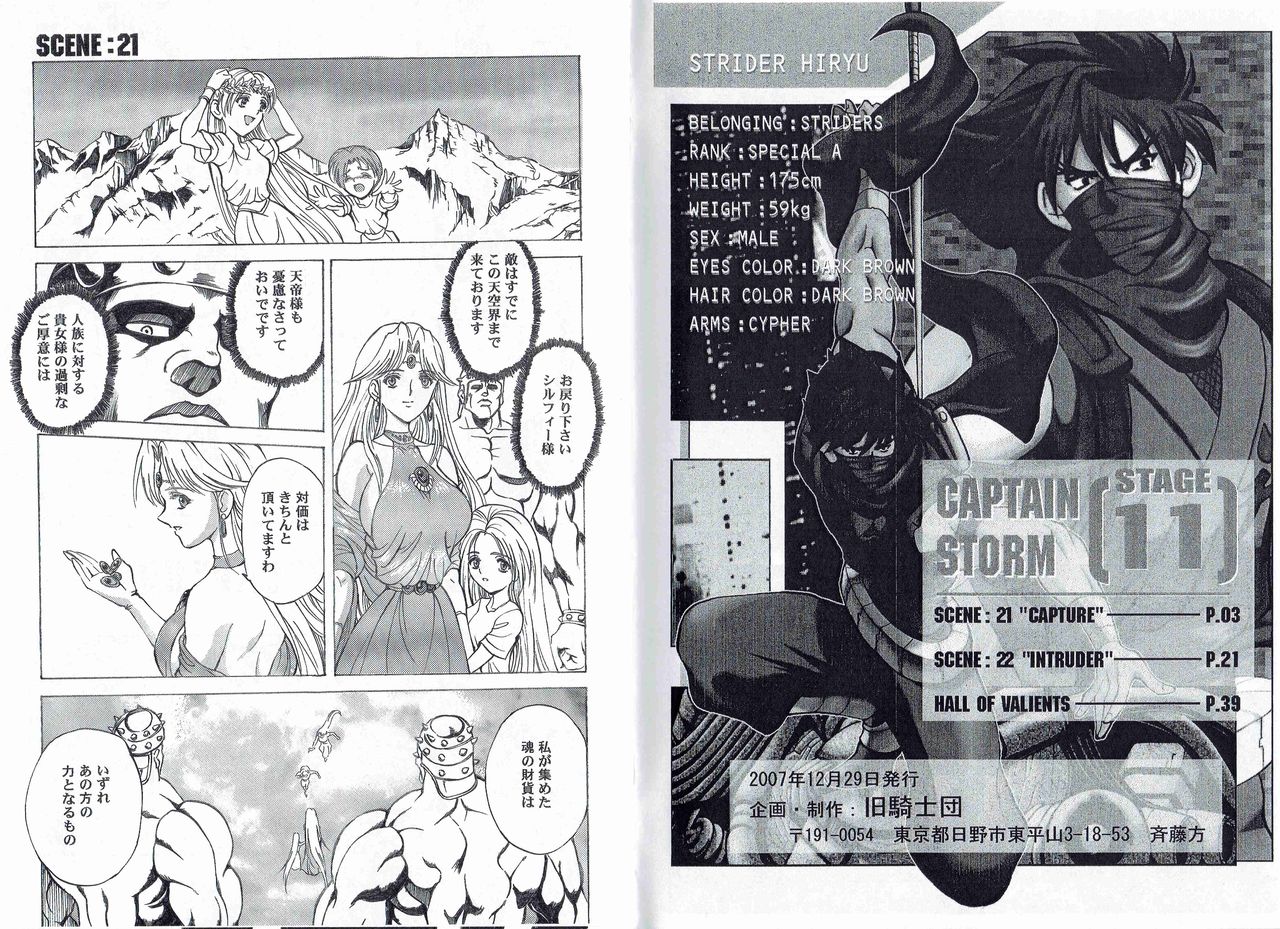 [旧騎士団(武紳)]CAPTAIN STORM STAGE 11 (カプコン)