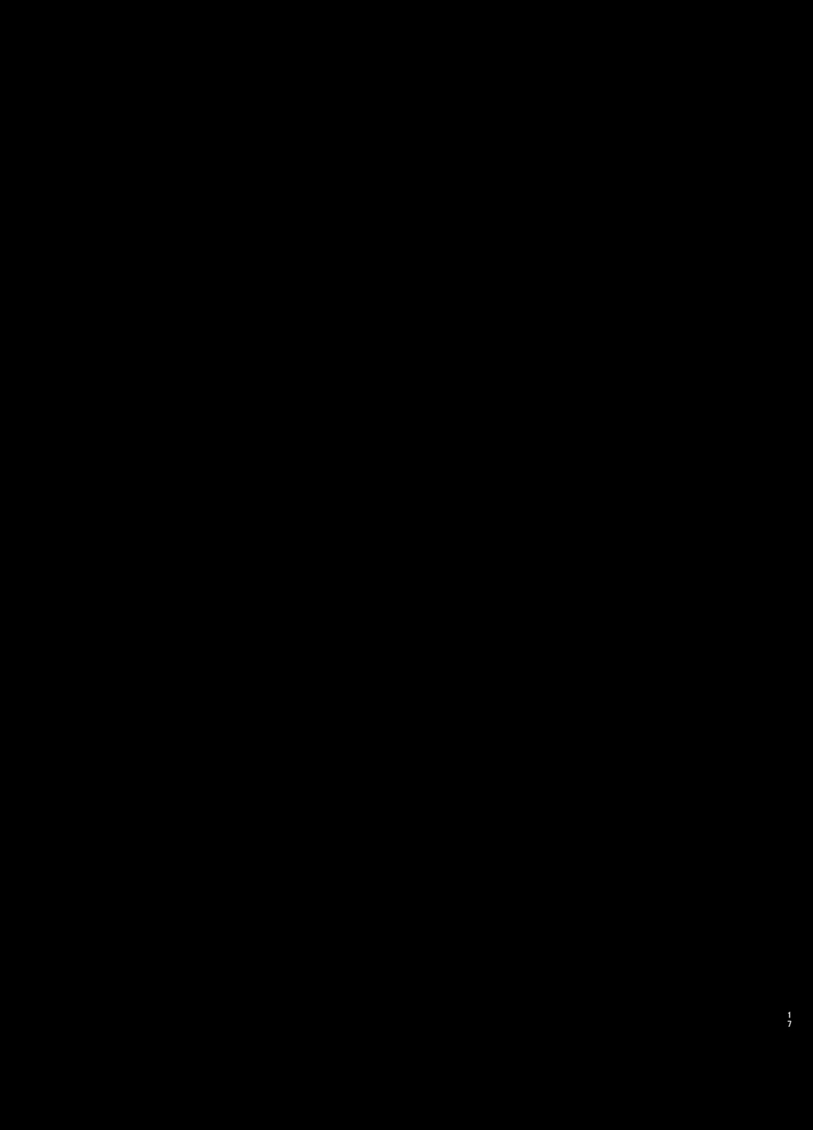 [和田マウンテン (「タカシ」)] 幻想奇獣空間陸 (東方Project) [中国翻訳] [DL版]