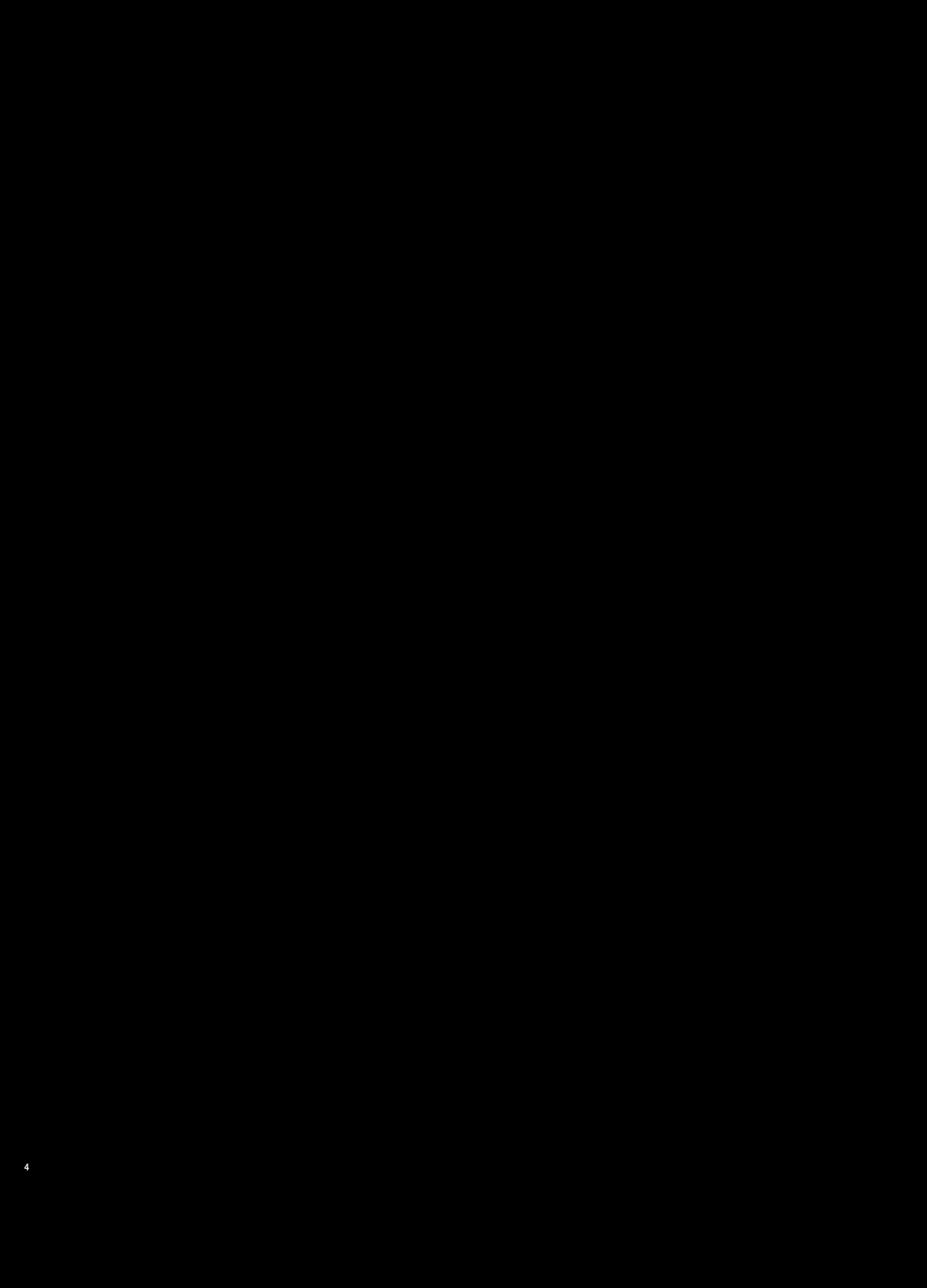 [和田マウンテン (「タカシ」)] 幻想奇獣空間陸 (東方Project) [中国翻訳] [DL版]