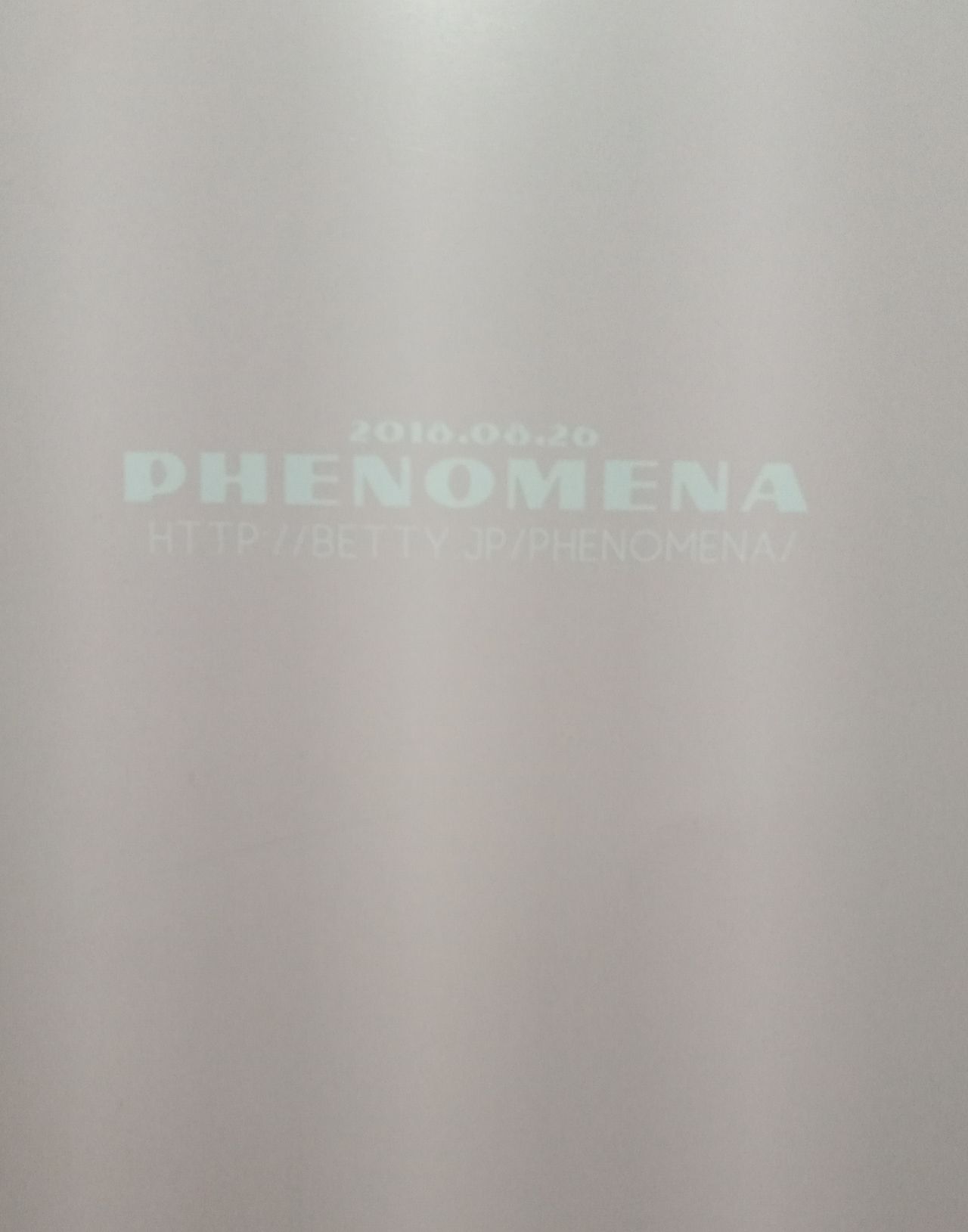 (第19回壁外調査博) [PHENOMENA (大ピッピ)] 愚行 (進撃の巨人)