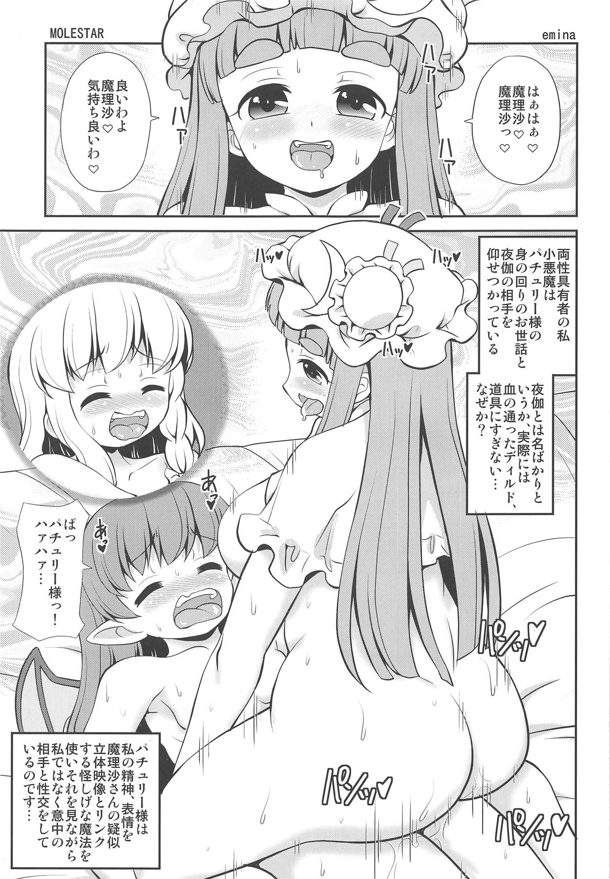 (C95) [魔導資料室 (嵐-D-悪鬼羅、佐々木てろん、emina)] MOLESTAR (東方Project)