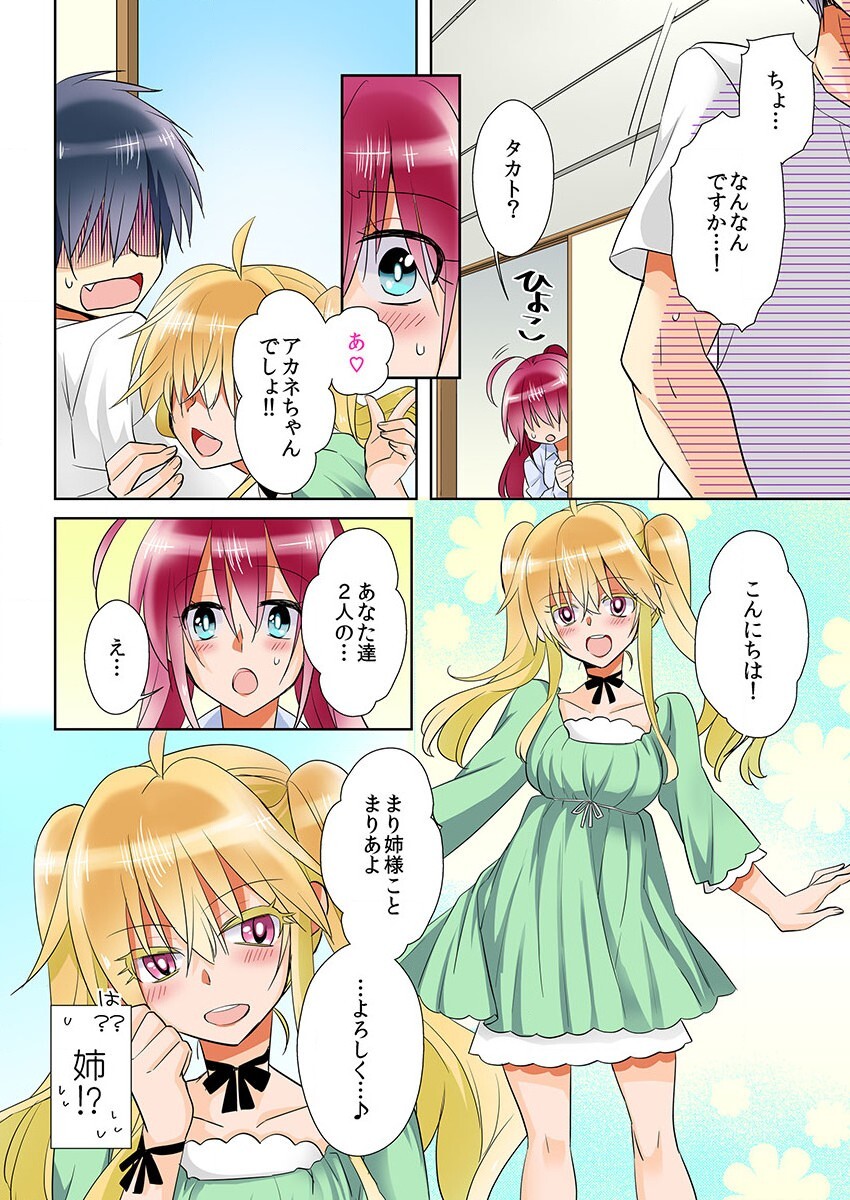 [聖] 俺の姉貴は記憶喪失-セックスってなぁに？(3)