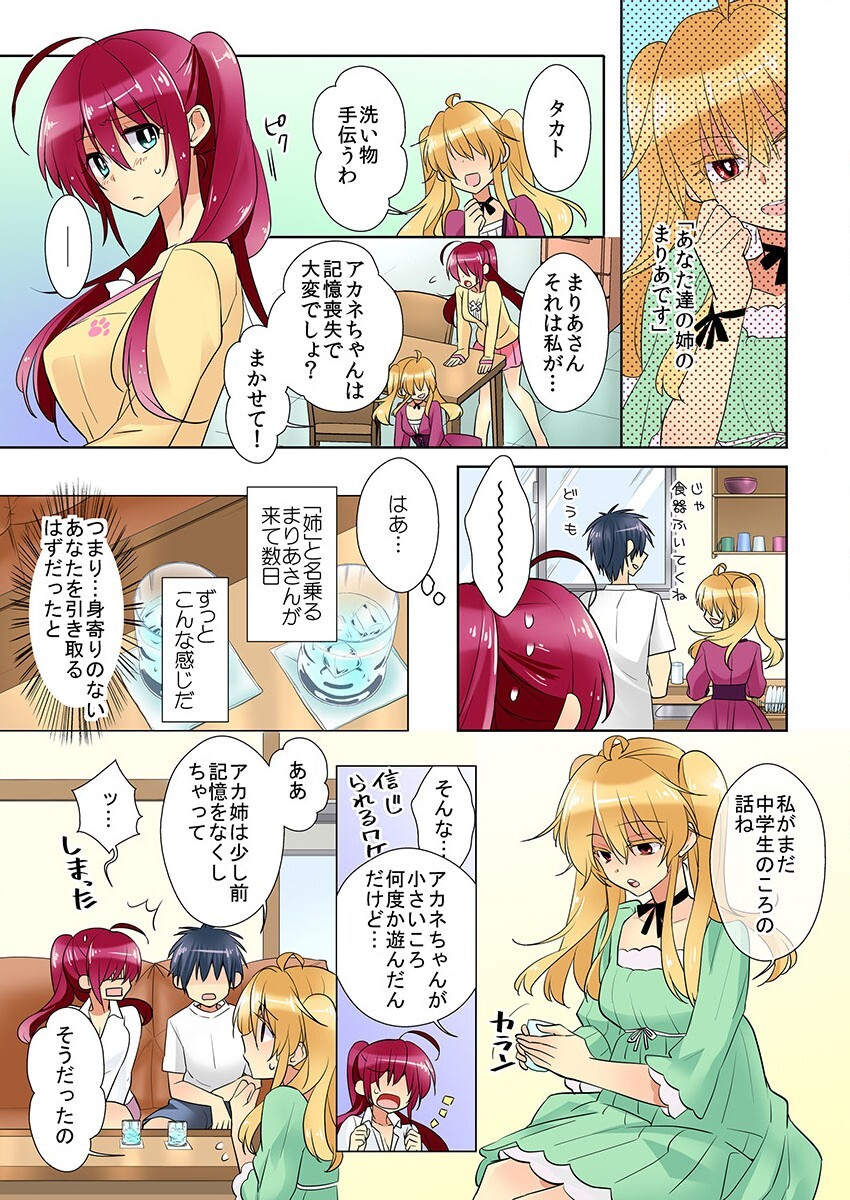 [聖] 俺の姉貴は記憶喪失-セックスってなぁに？(3)