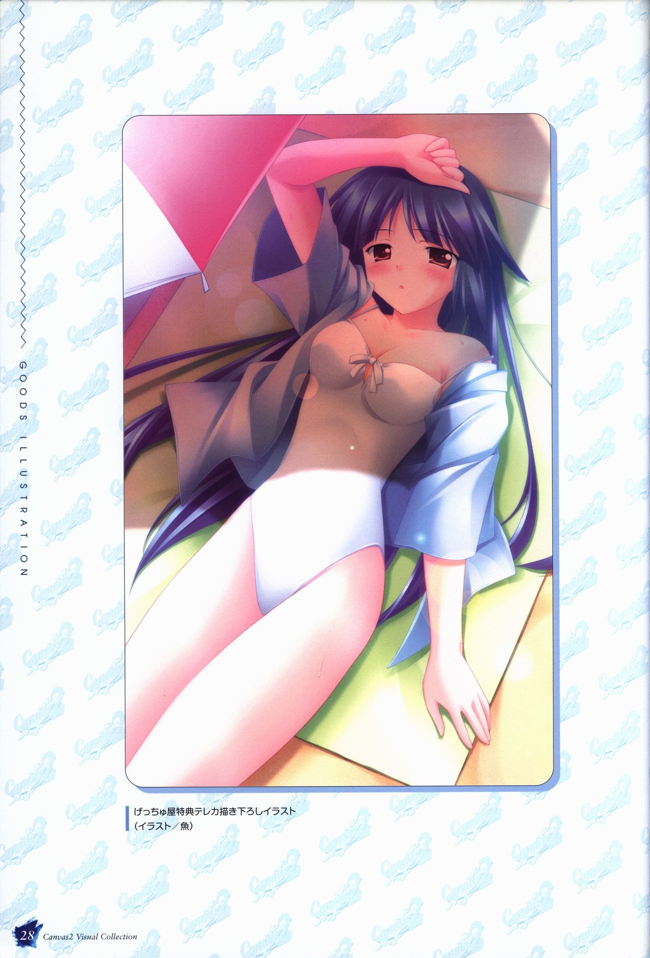 CANVAS2 ビジュアルコレクション