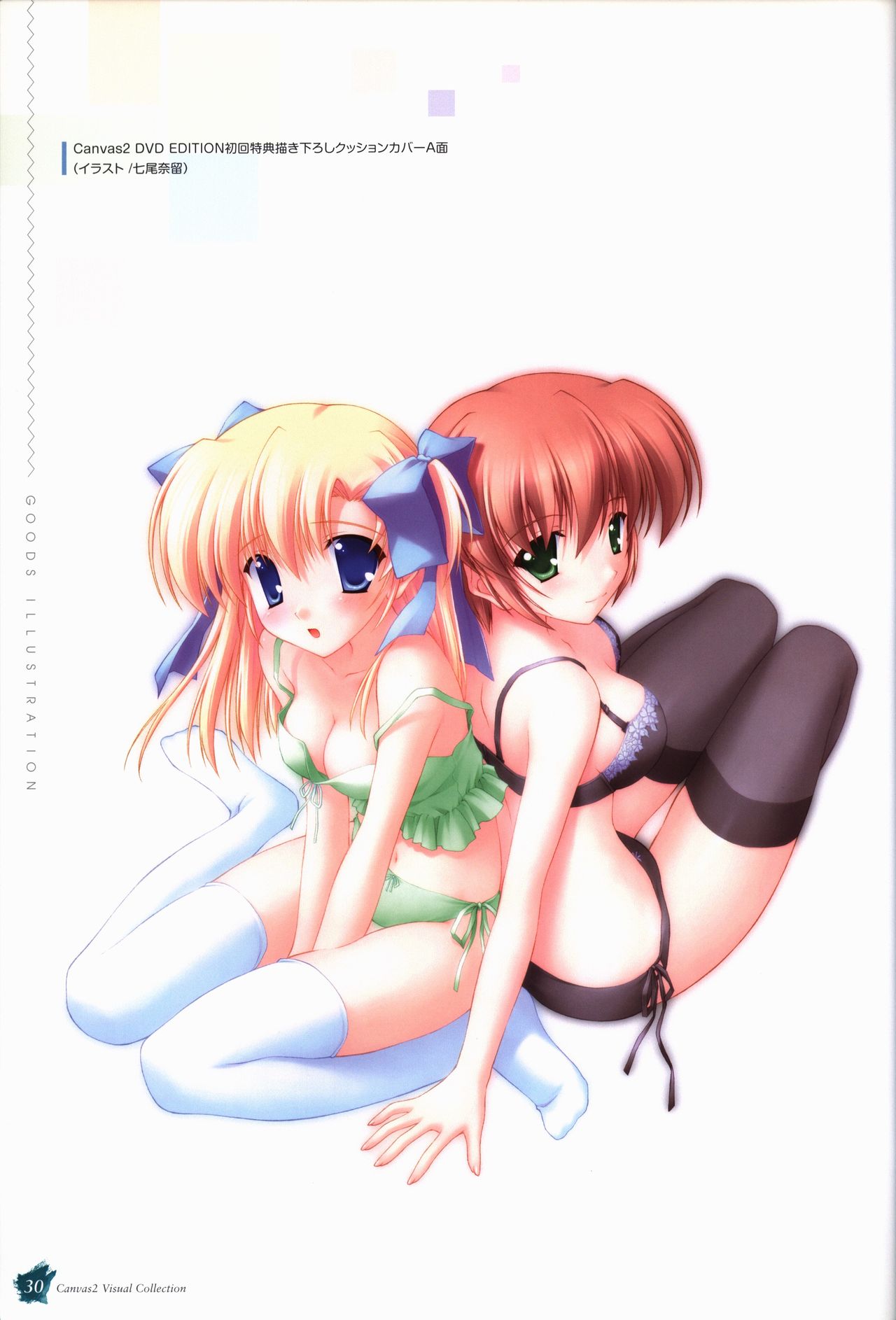 CANVAS2 ビジュアルコレクション