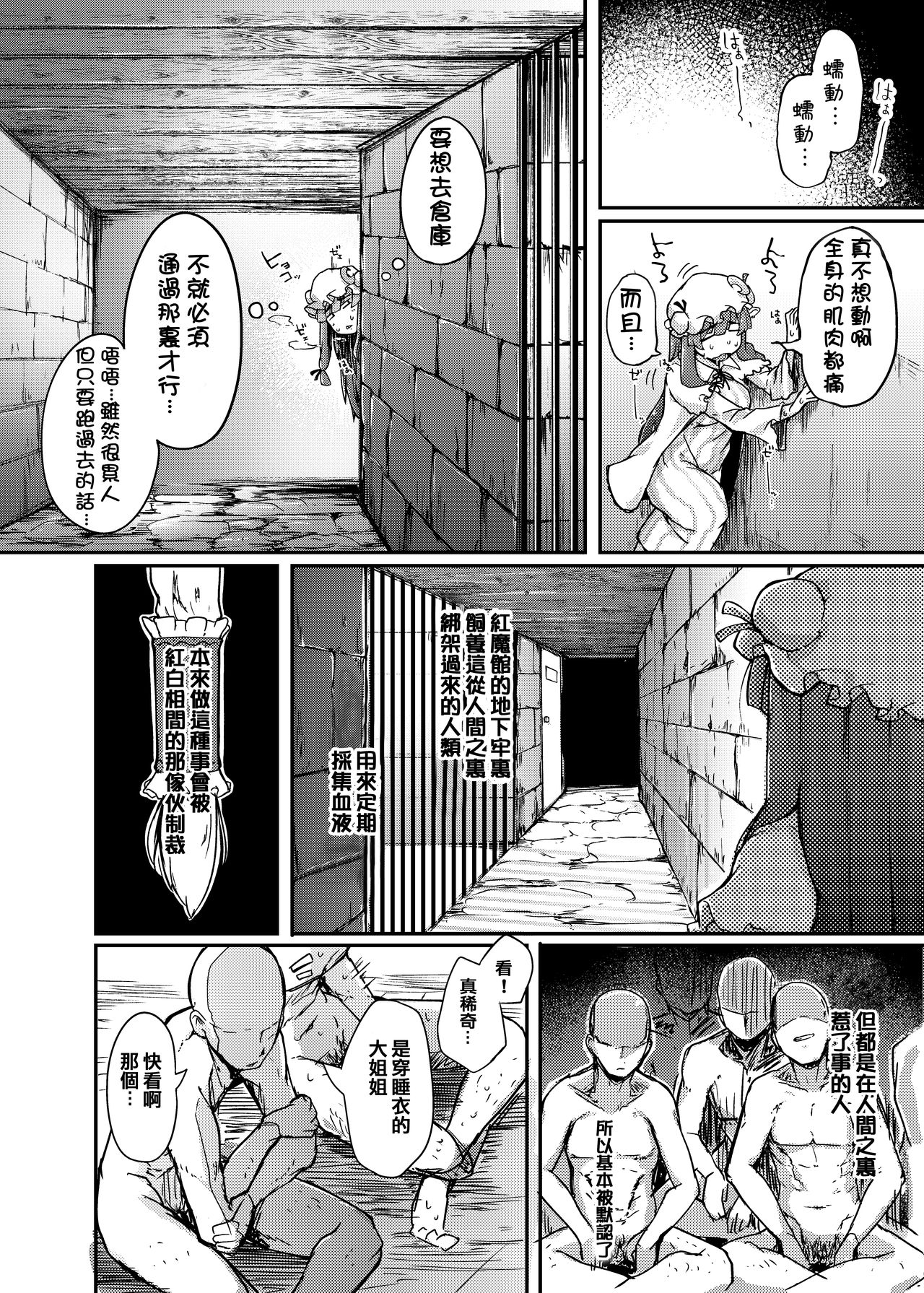 [自家発電処 (flanvia)] 穴とむっつりどすけべだいとしょかん (東方Project) [中国翻訳] [DL版]