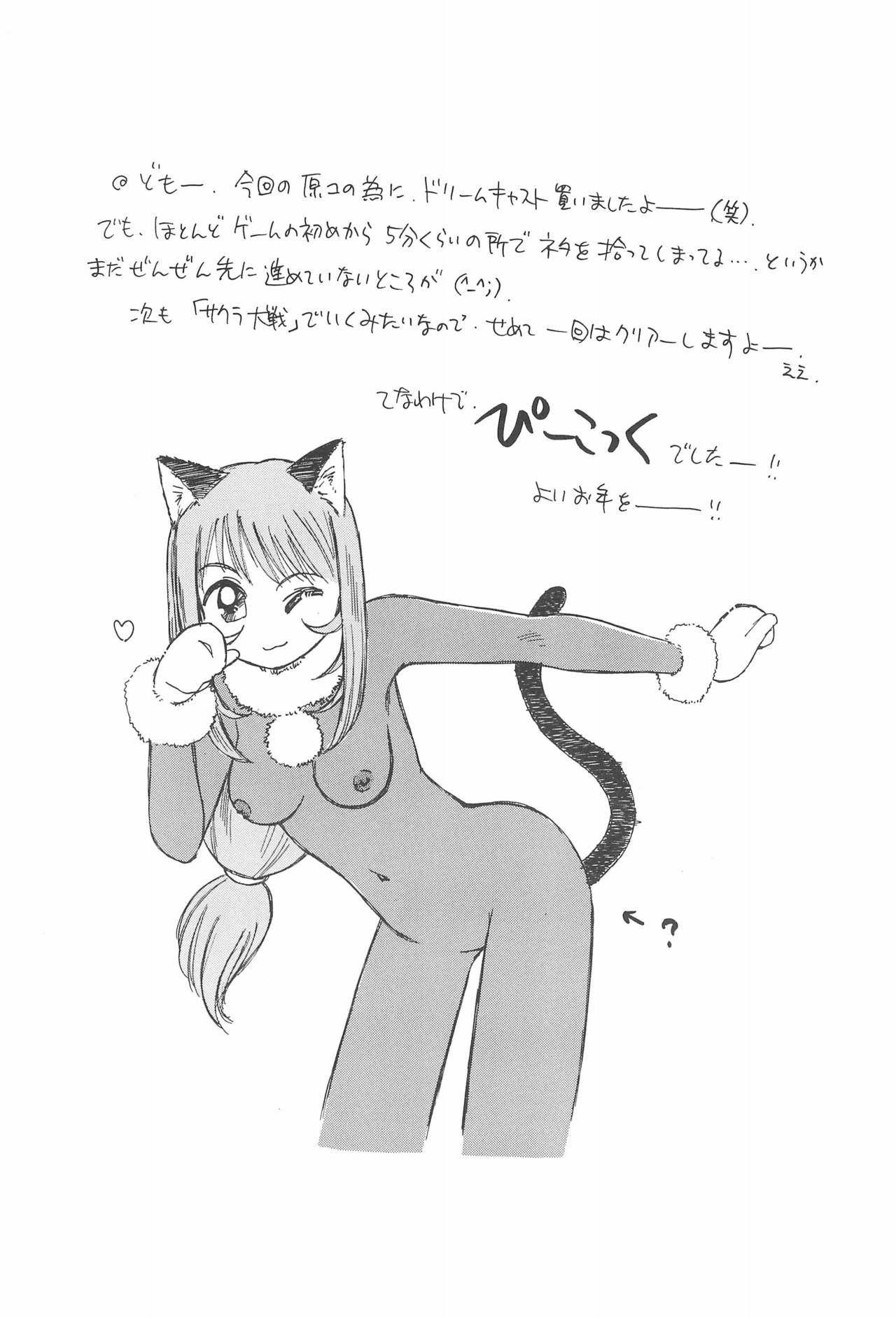 (C61) [CIRCLE FOUNDATION (藤瀬あきら)] 花便り (サクラ大戦)